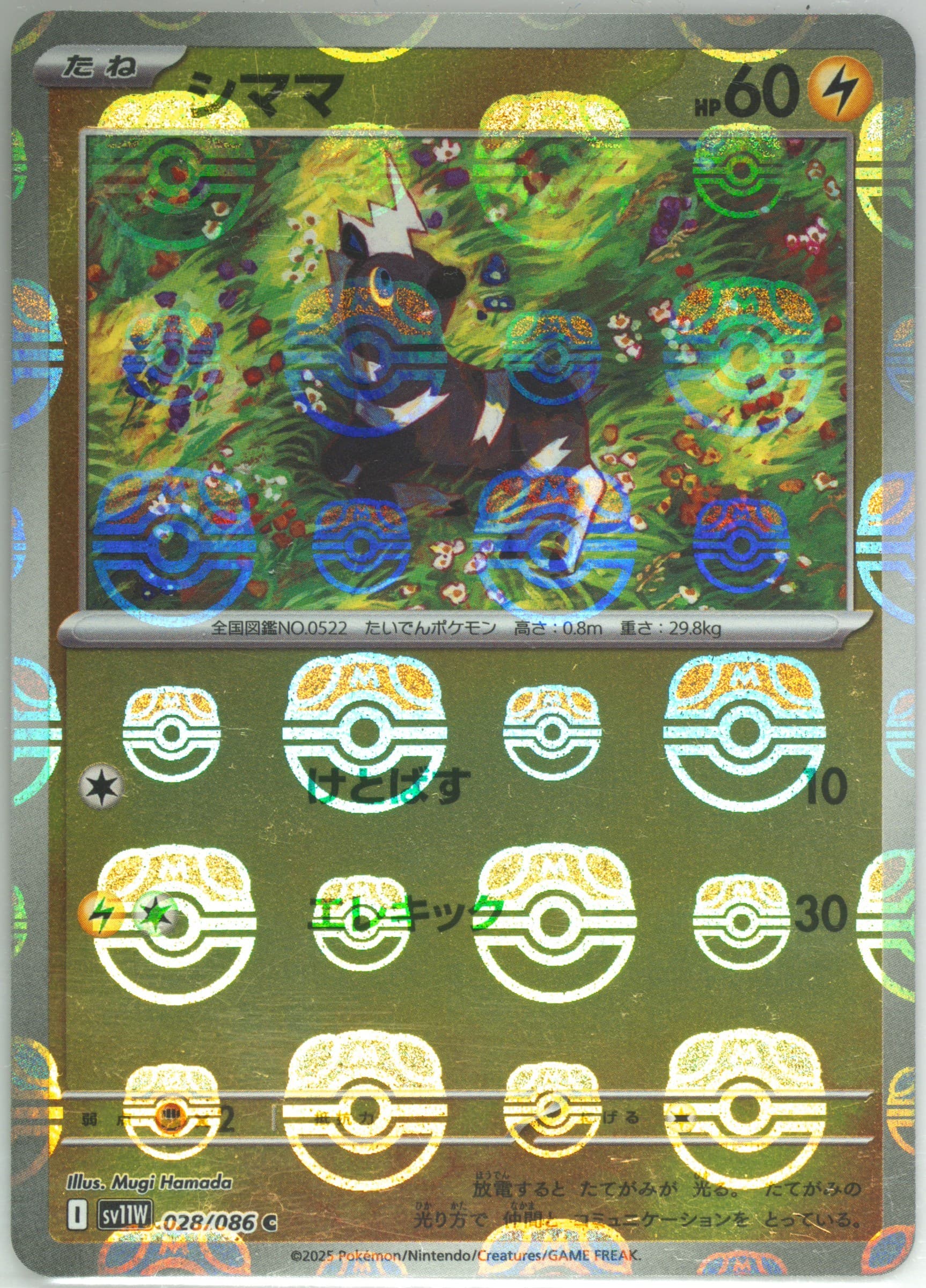 Blitzle Master Ball Reverse Holo (028) 2025 Pokemon Japanese Sv11w-White Flare