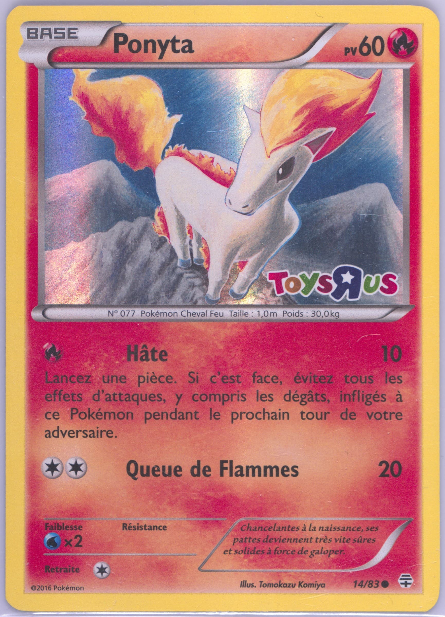 Ponyta-Holo Toys R US-French (14) 2016 Pokemon XY Generations