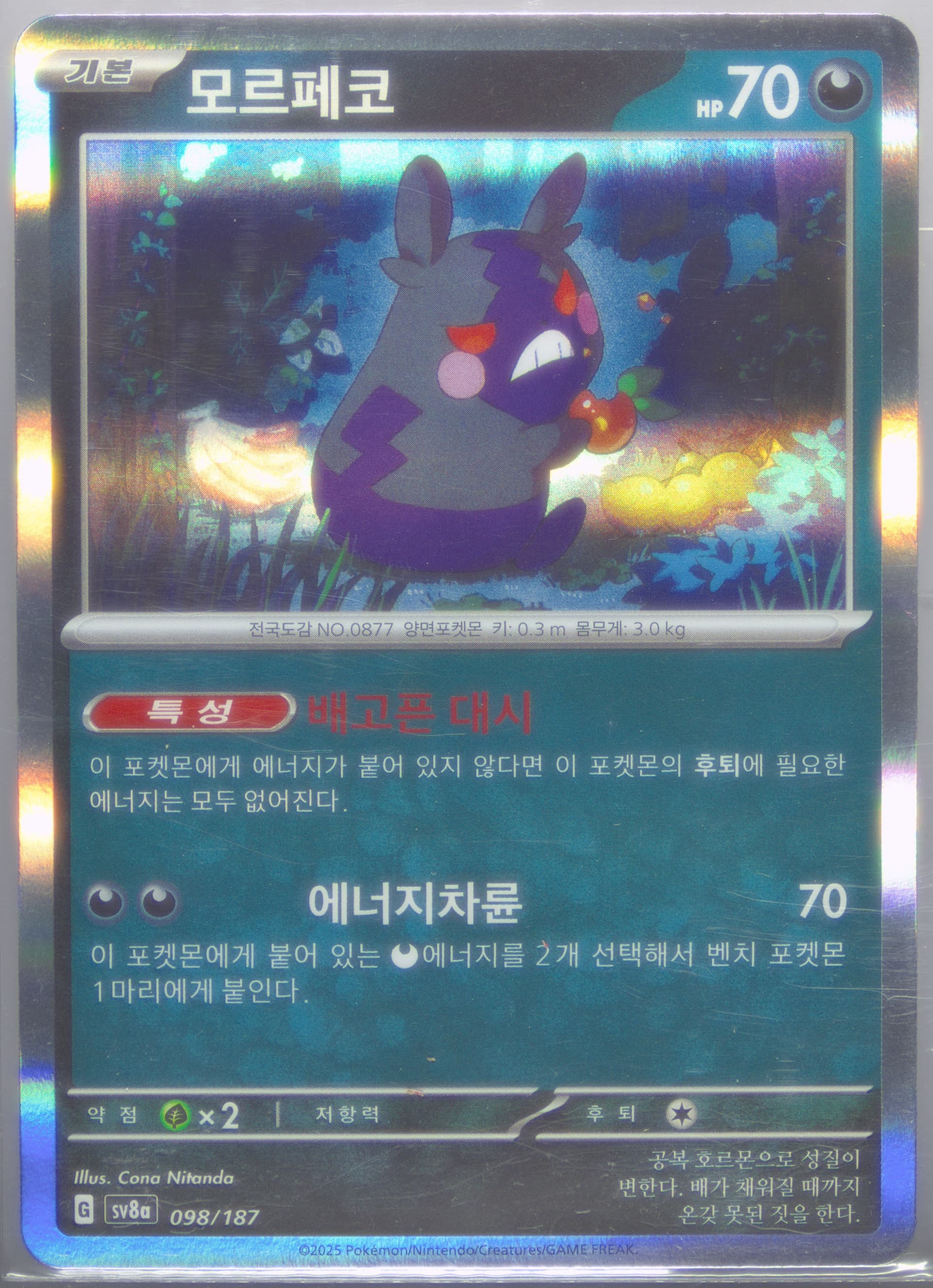 Morpeko (098) 2025 Pokemon Korean Sv8a-Terastal Fest EX