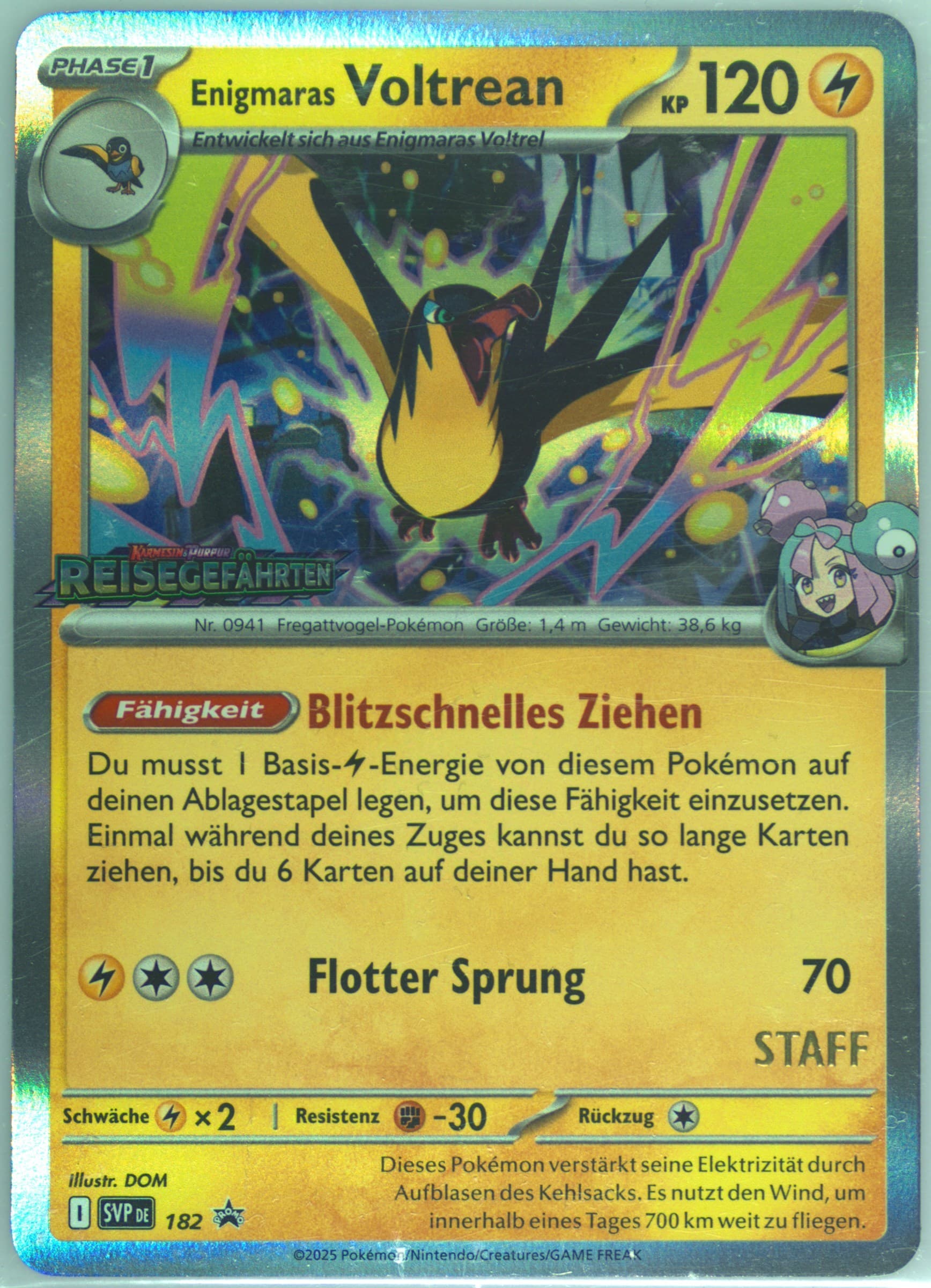 Iono's Kilowattrel Journey Together Prerelease-Staff (182) 2025 Pokemon German Svp de-SV Black Star Promo