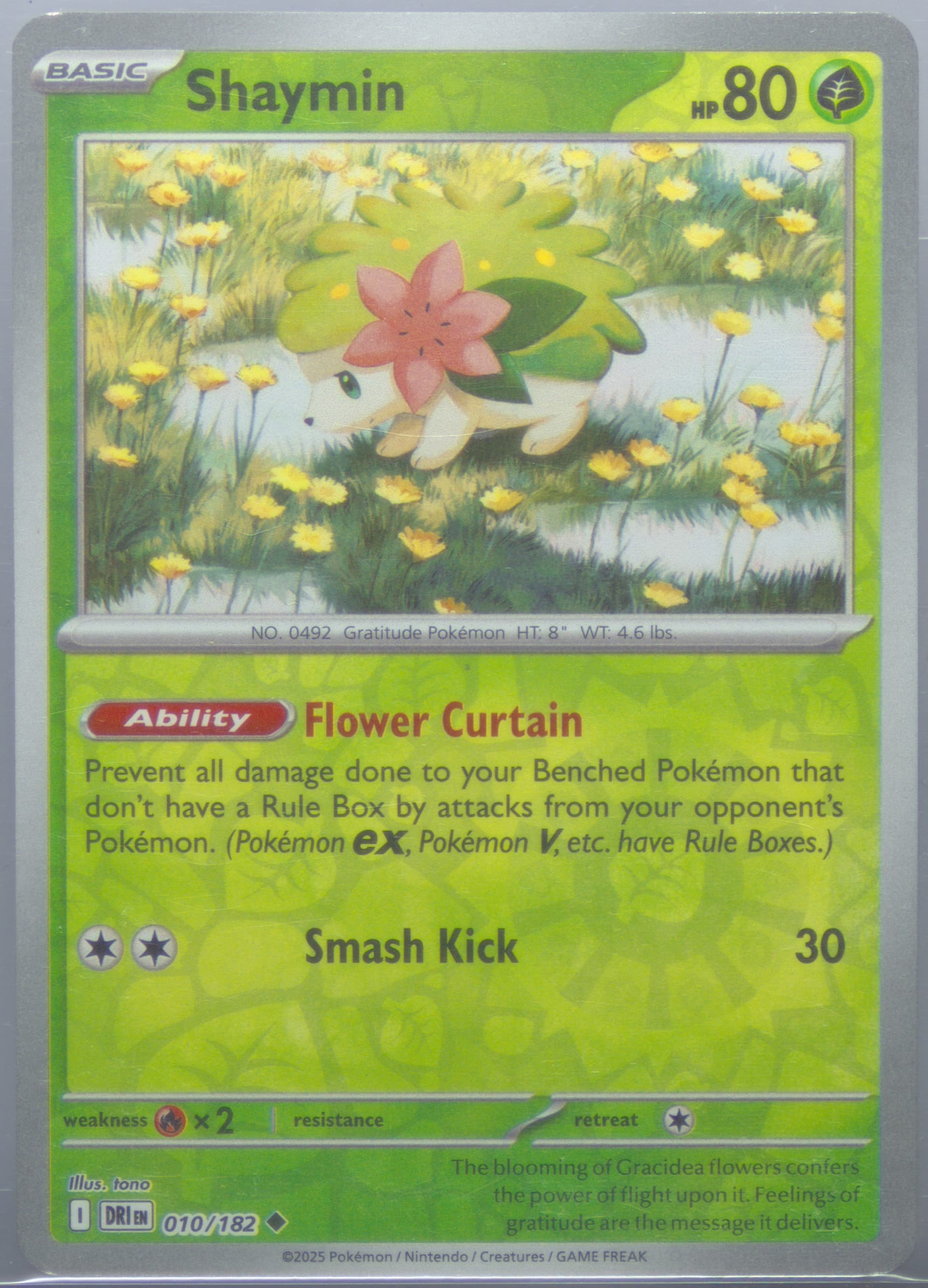 Shaymin Reverse Holo (010) 2025 Pokemon Dri EN-Destined Rivals