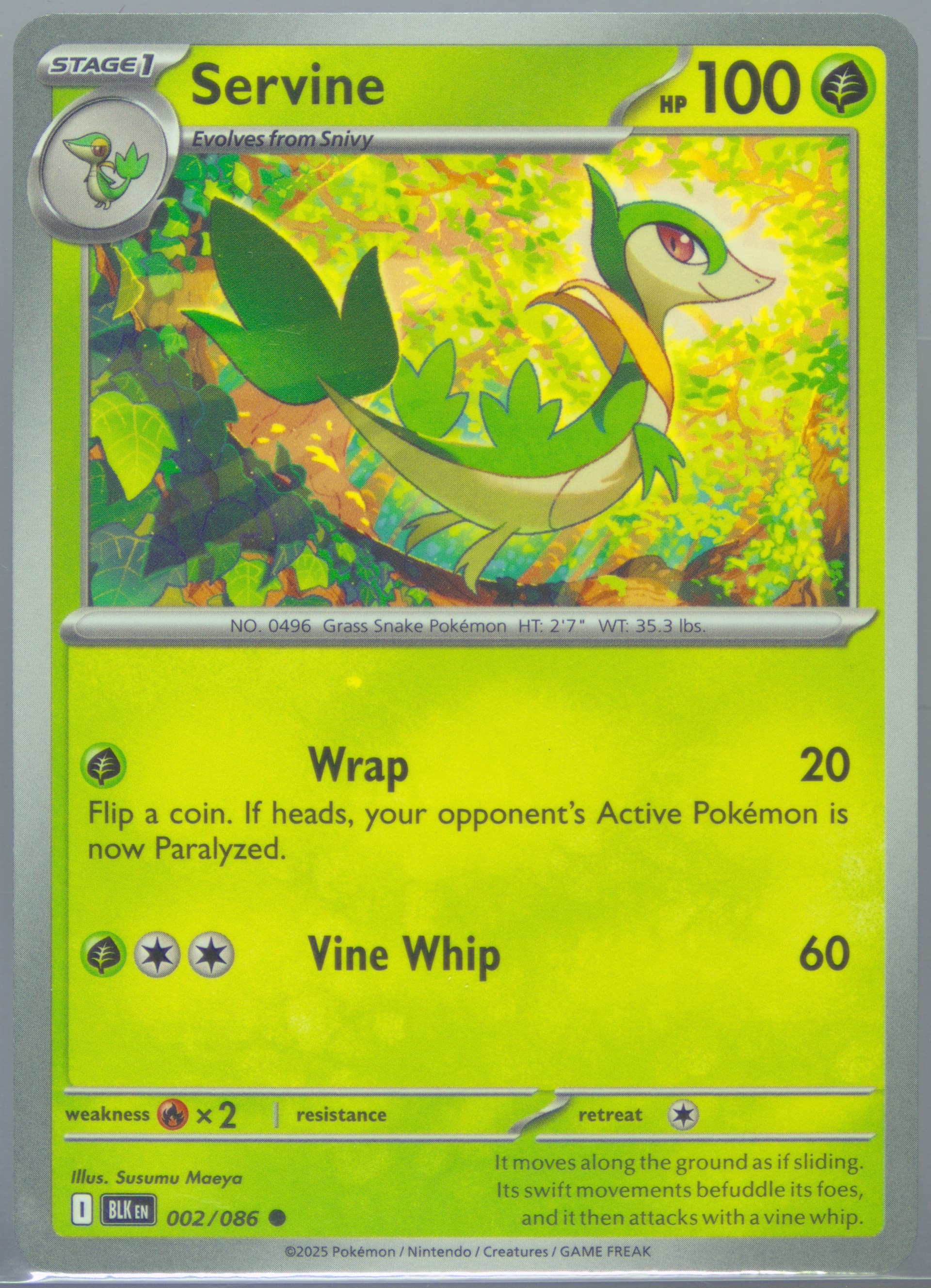 Servine (002) 2025 Pokemon Blk EN-Black Bolt