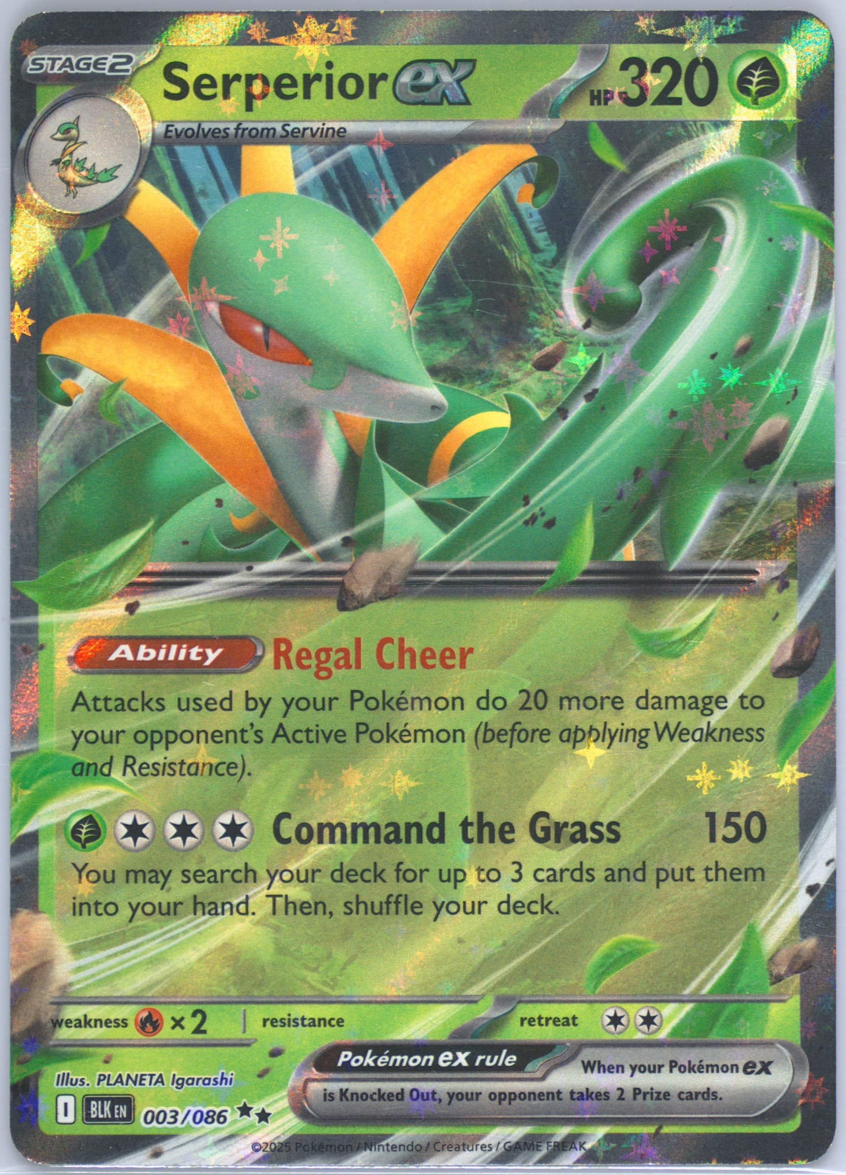 Serperior EX (003) 2025 Pokemon Blk EN-Black Bolt