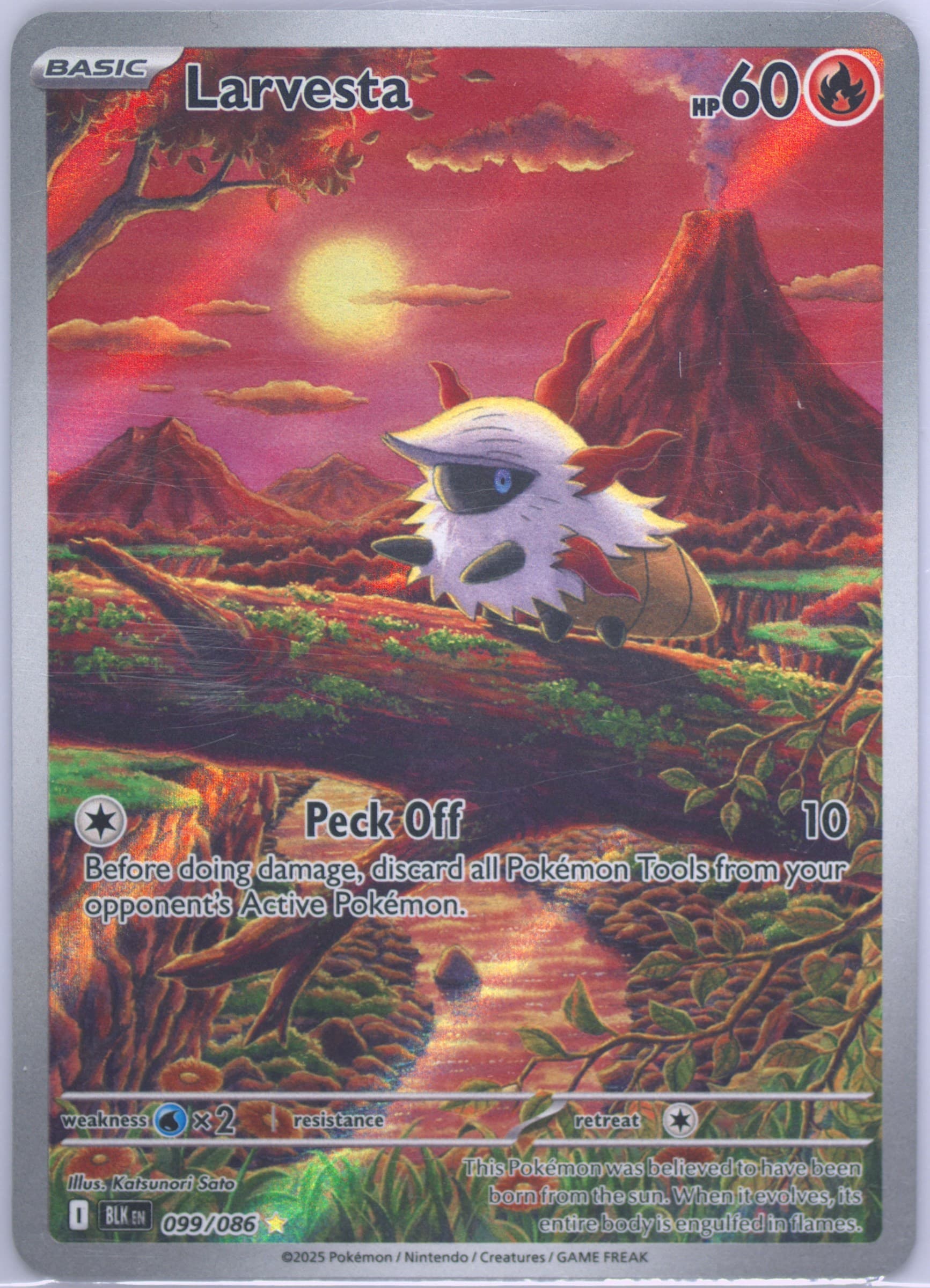 Larvesta Illustration Rare (099) 2025 Pokemon Blk EN-Black Bolt