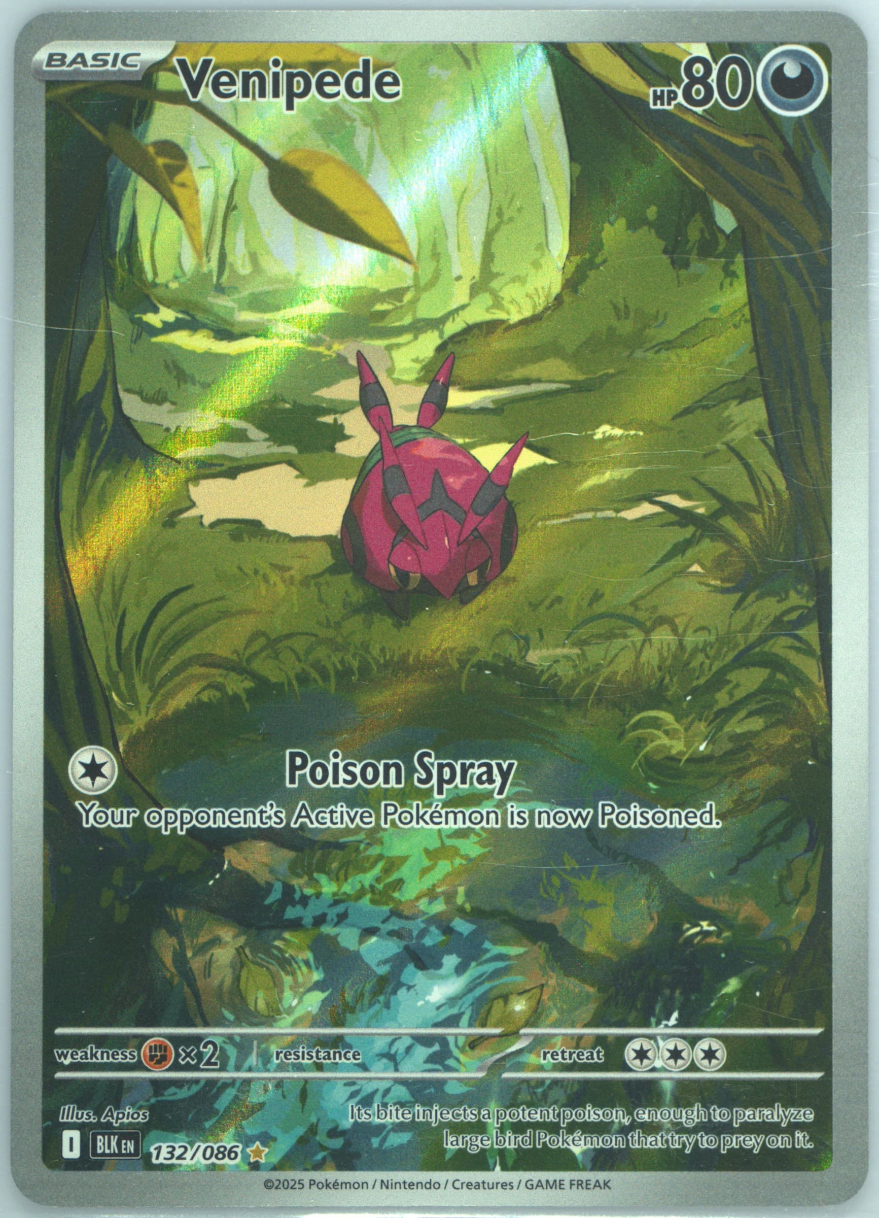 Venipede Illustration Rare (132) 2025 Pokemon Blk EN-Black Bolt