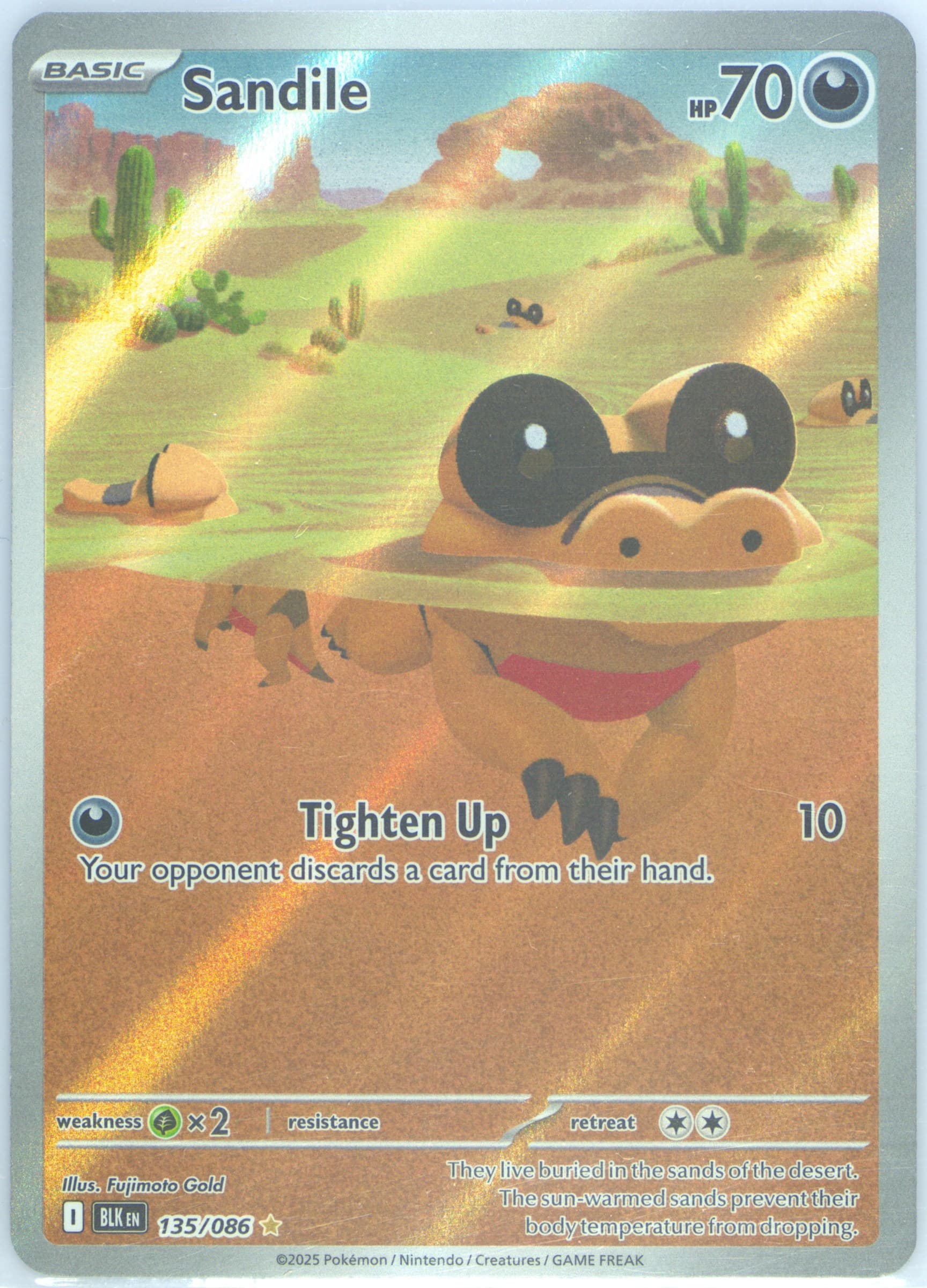 Sandile Illustration Rare (135) 2025 Pokemon Blk EN-Black Bolt