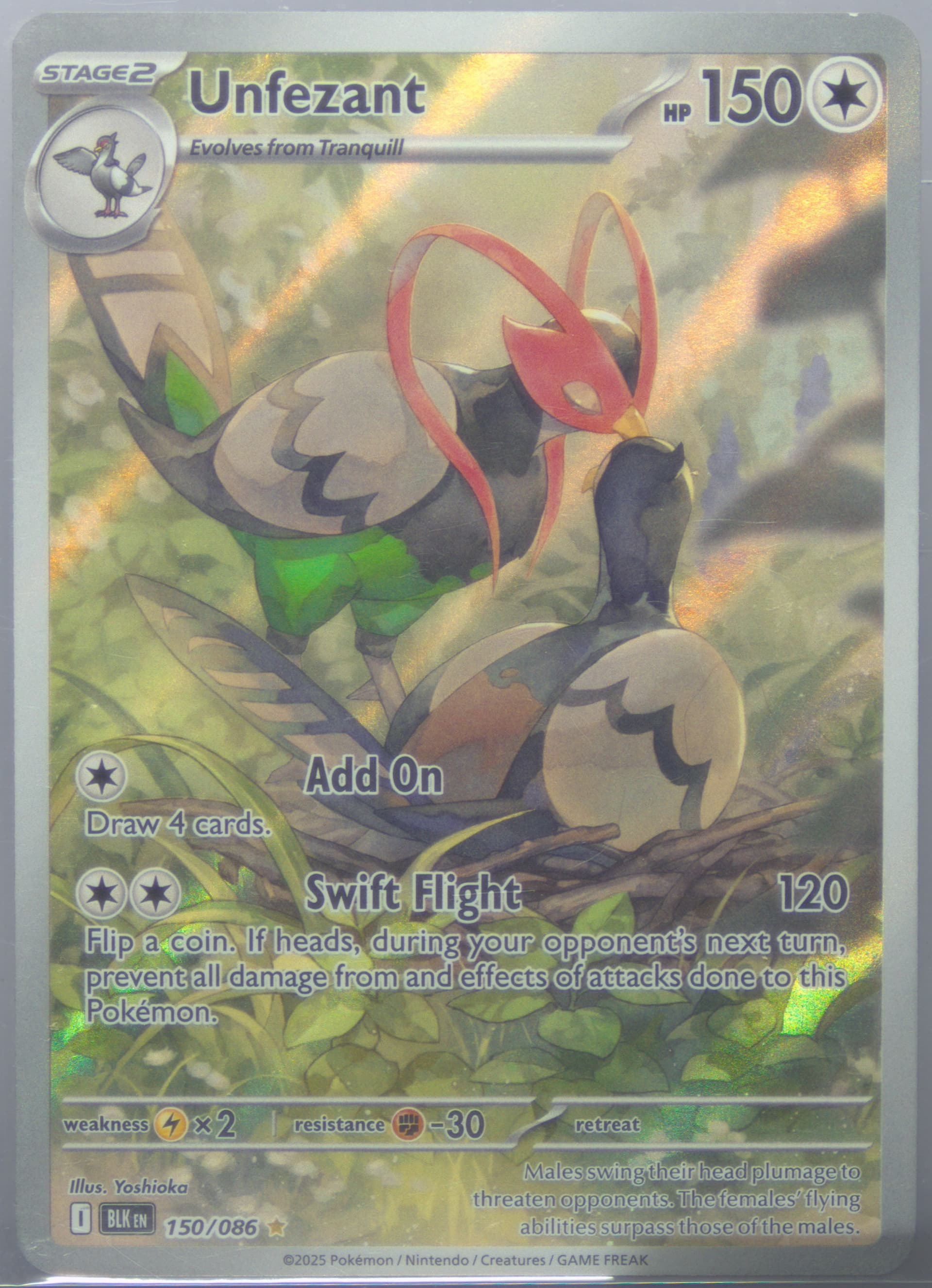 Unfezant Illustration Rare (150) 2025 Pokemon Blk EN-Black Bolt