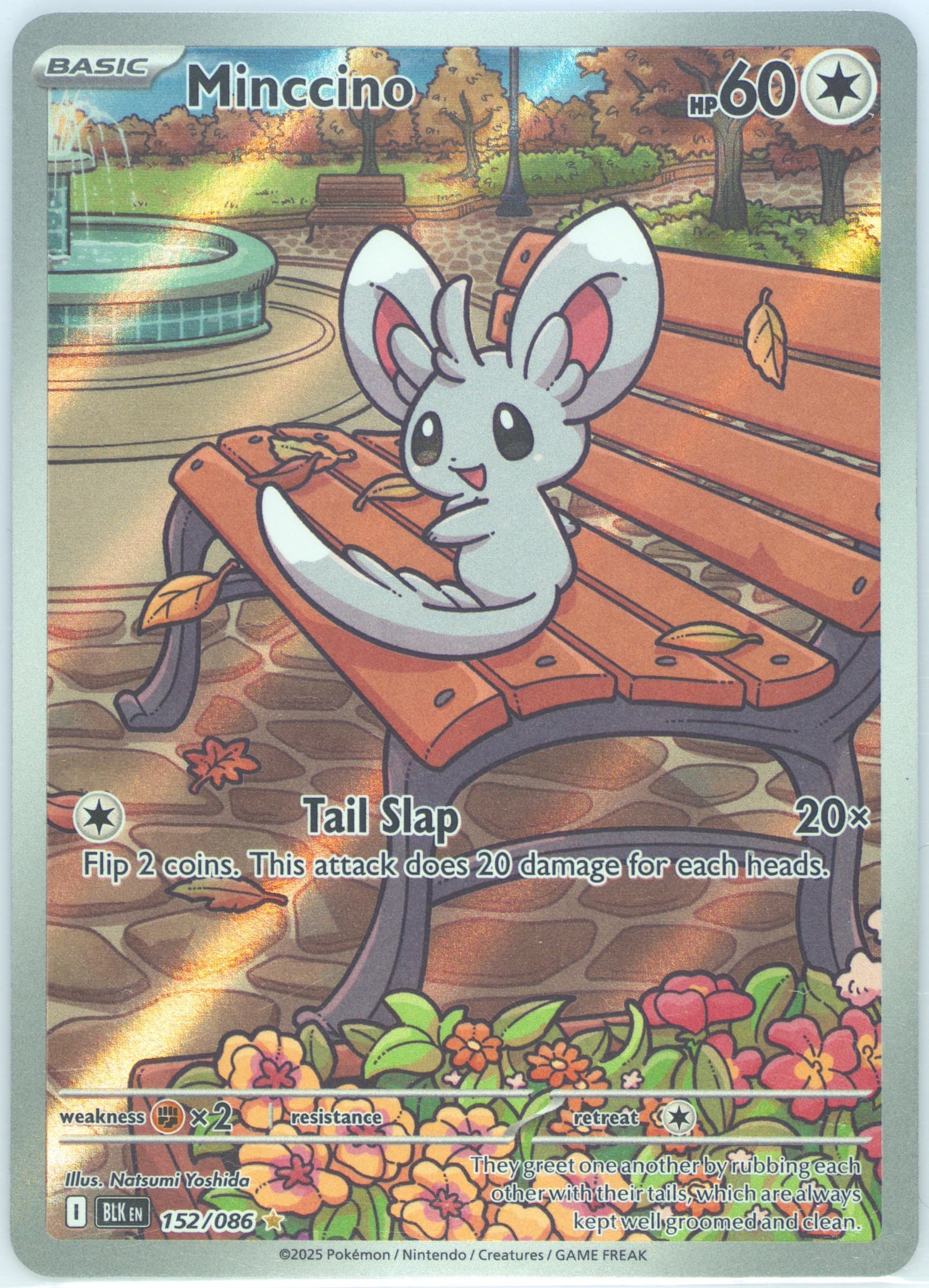 Minccino Illustration Rare (152) 2025 Pokemon Blk EN-Black Bolt