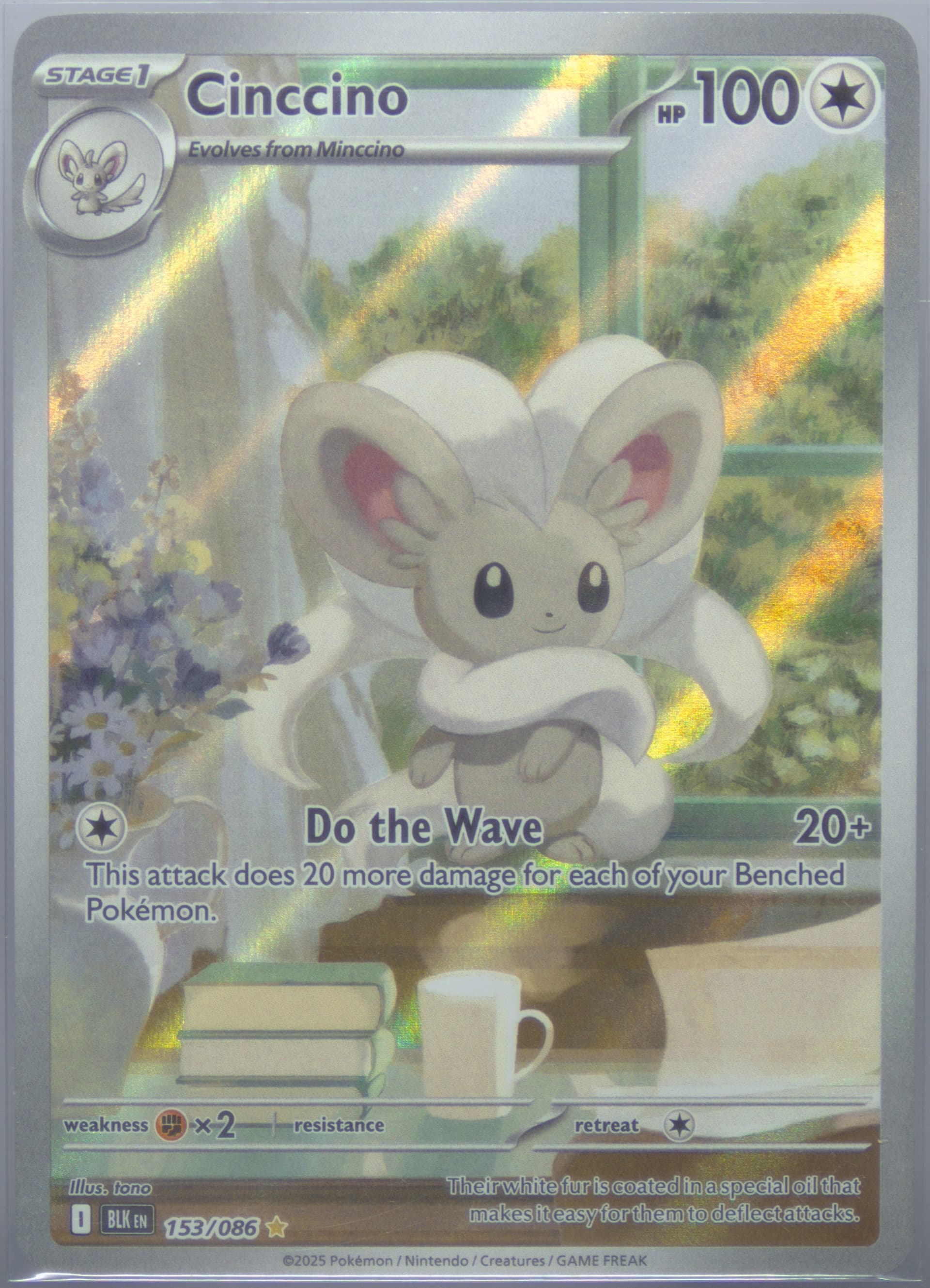 Cinccino Illustration Rare (153) 2025 Pokemon Blk EN-Black Bolt