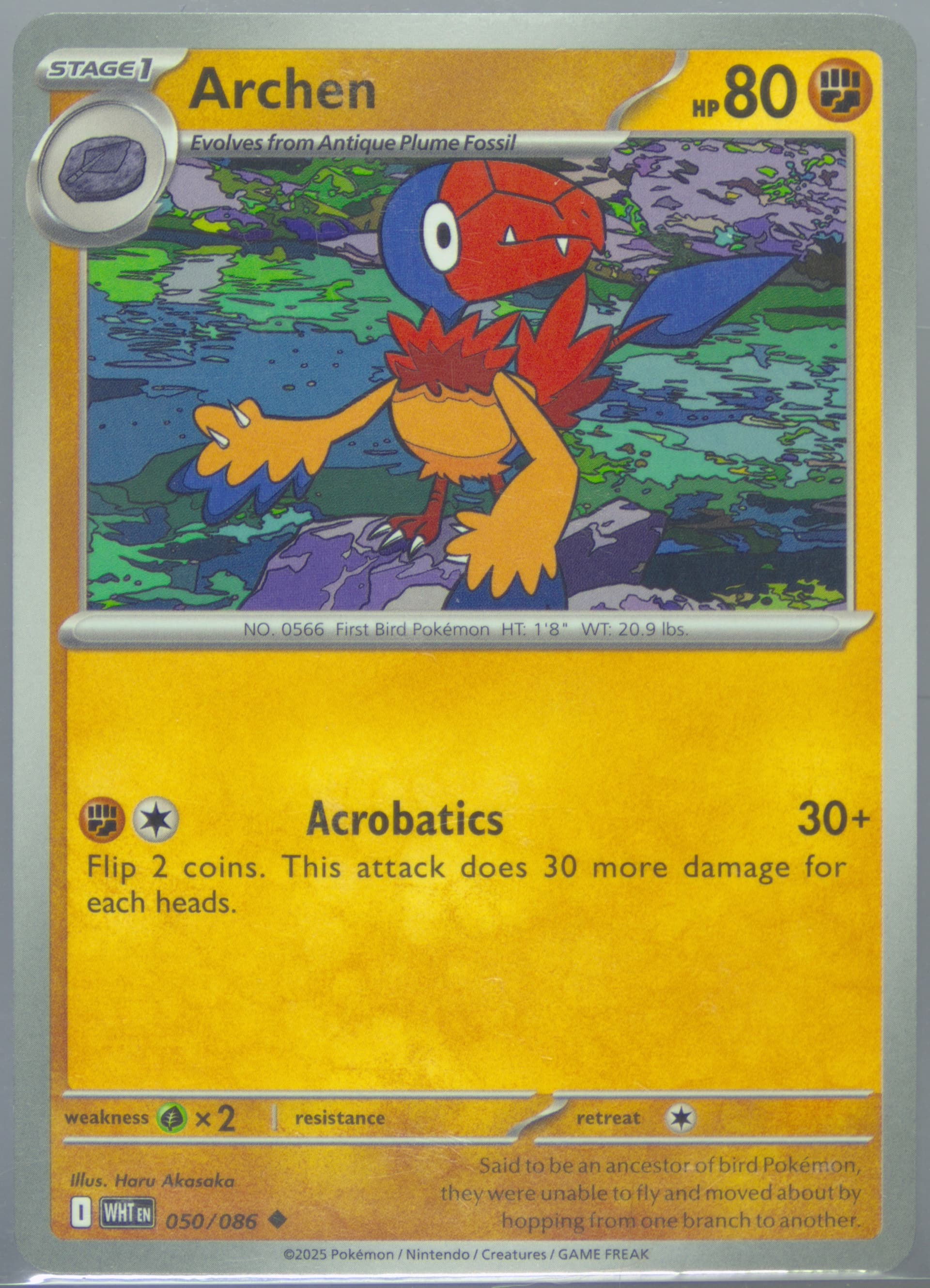 Archen (050) 2025 Pokemon Wht EN-White Flare