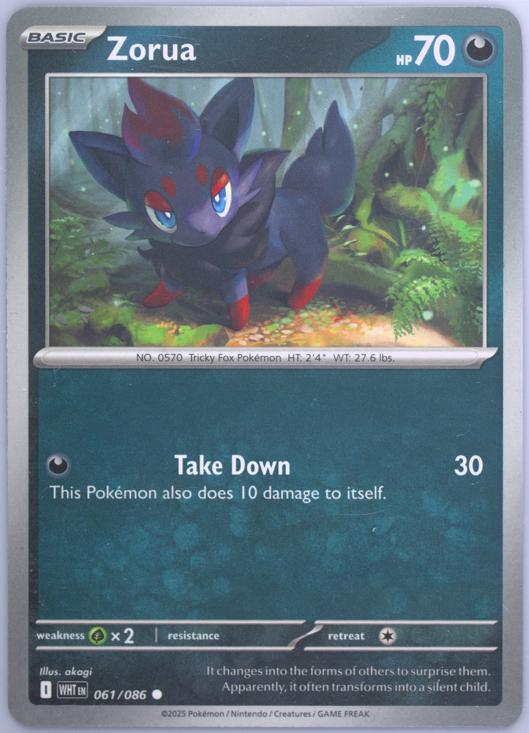Zorua (061) 2025 Pokemon Wht EN-White Flare