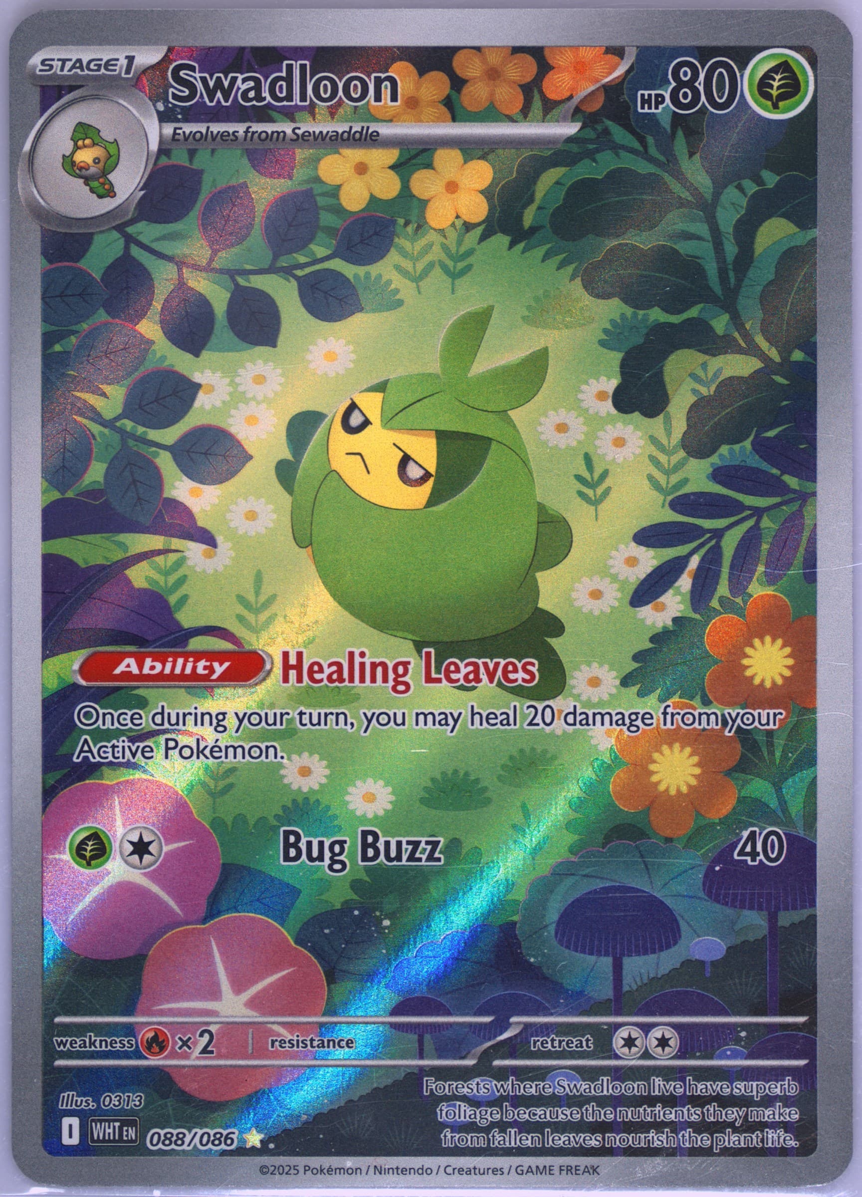 Swadloon Illustration Rare (088) 2025 Pokemon Wht EN-White Flare