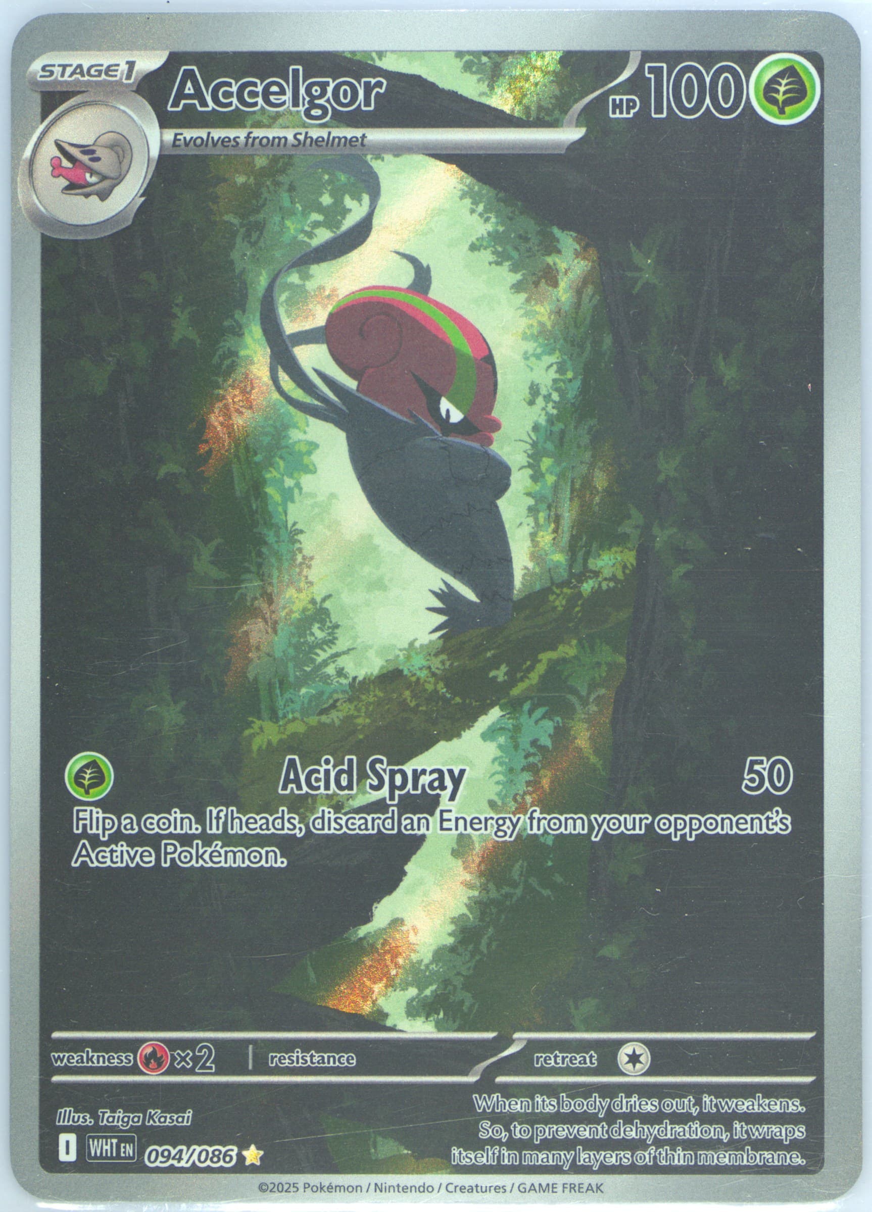 Accelgor Illustration Rare (094) 2025 Pokemon Wht EN-White Flare