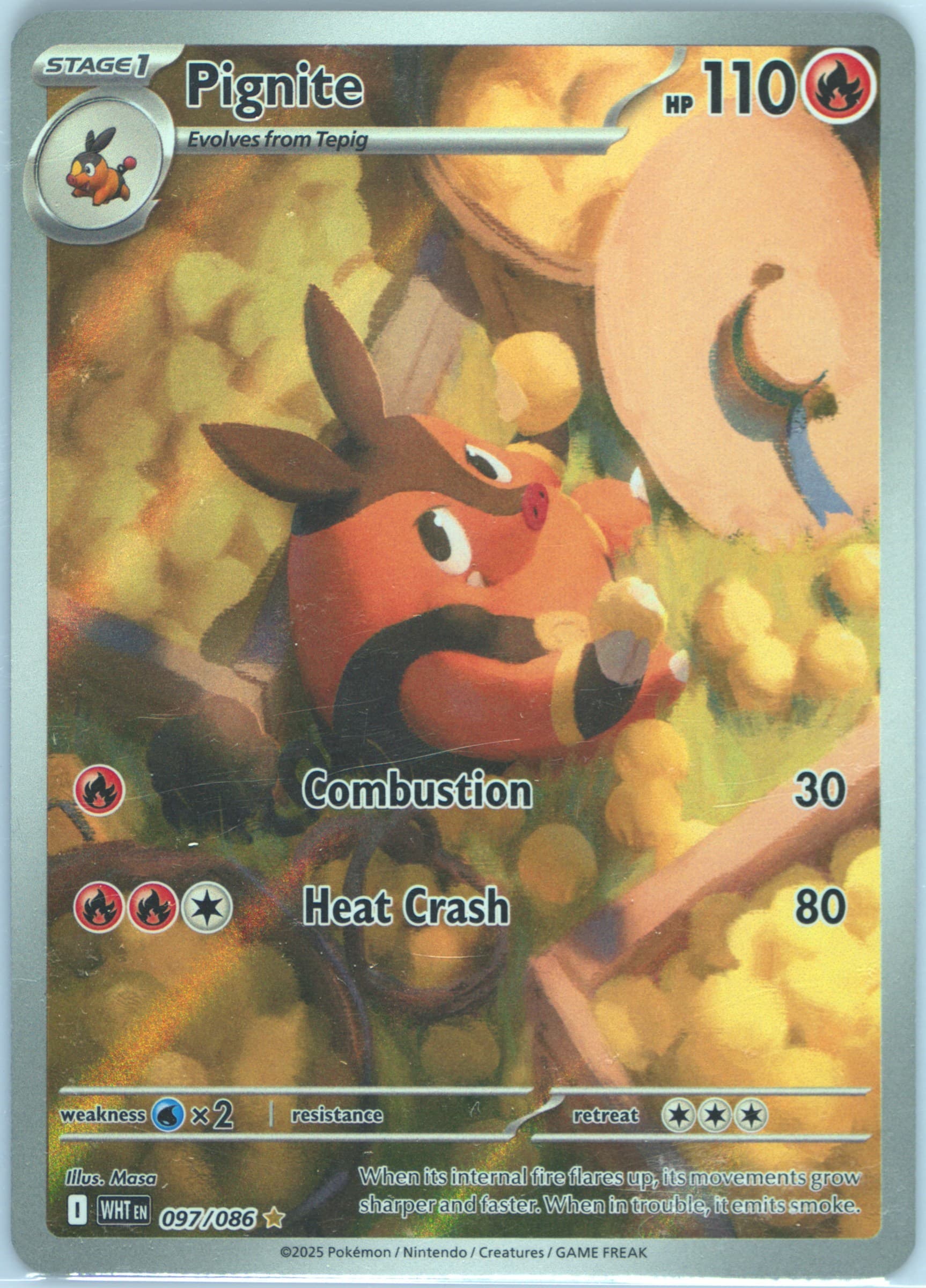 Pignite Illustration Rare (097) 2025 Pokemon Wht EN-White Flare
