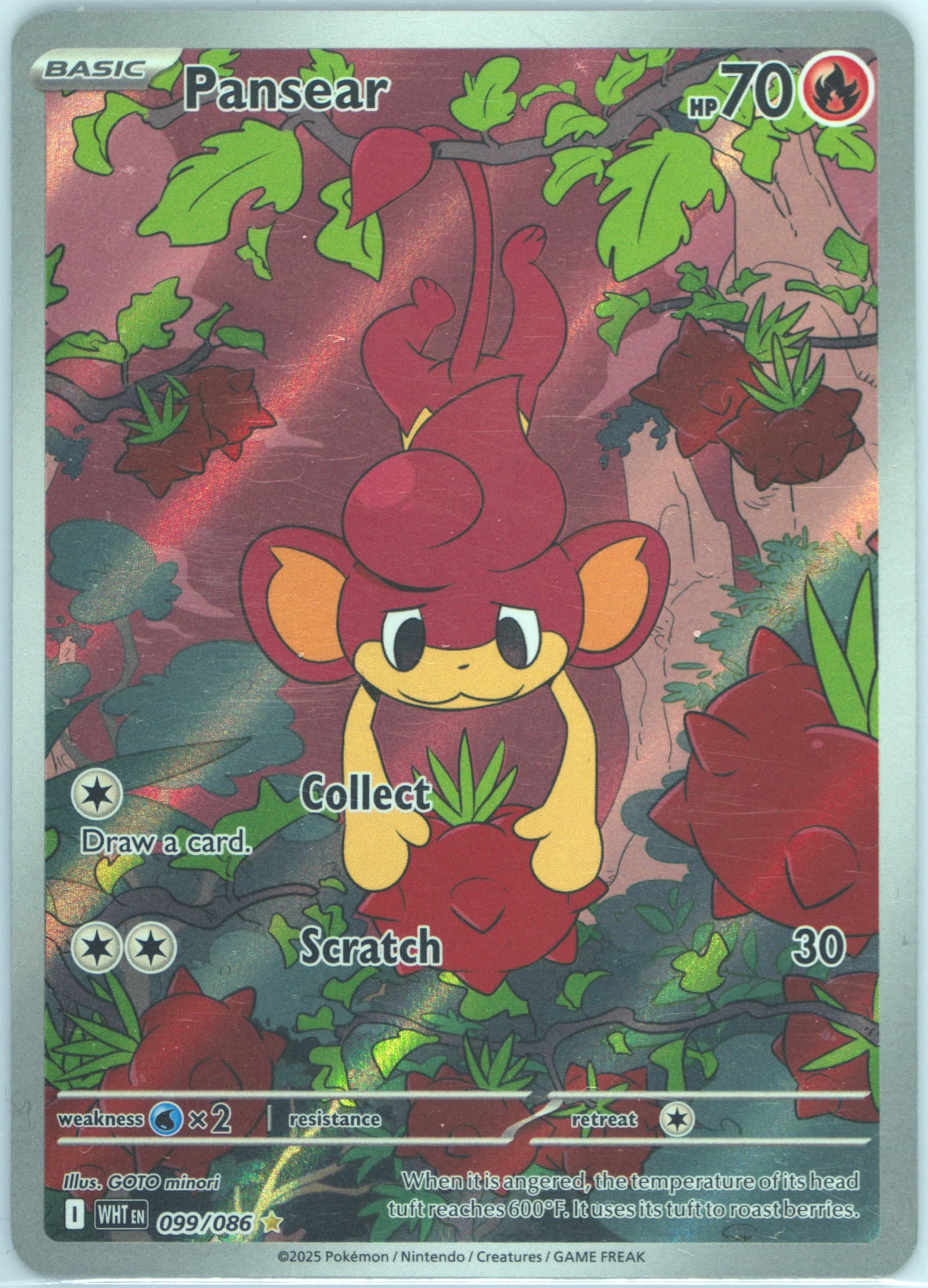 Pansear Illustration Rare (099) 2025 Pokemon Wht EN-White Flare