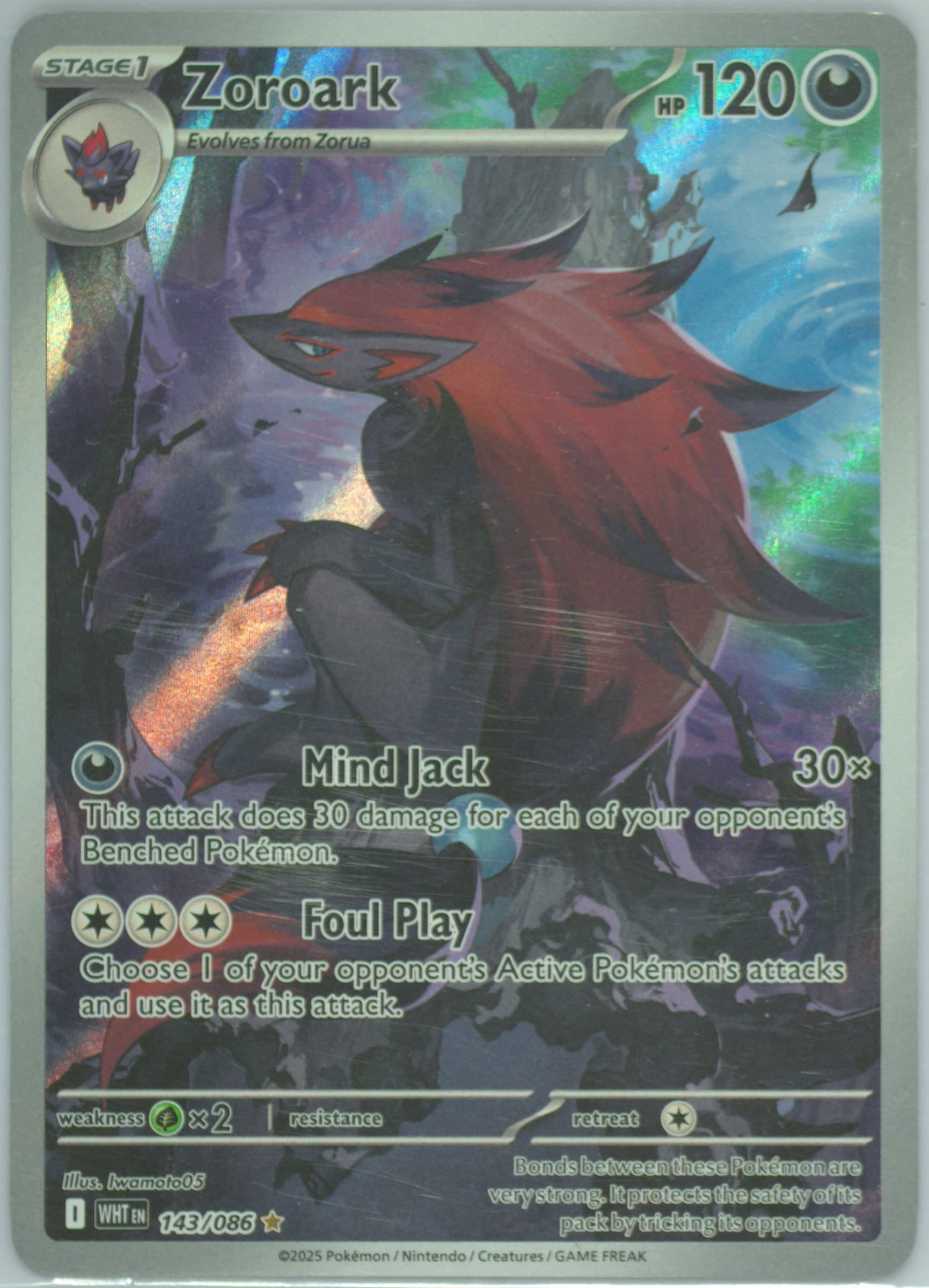 Zoroark Illustration Rare (143) 2025 Pokemon Wht EN-White Flare