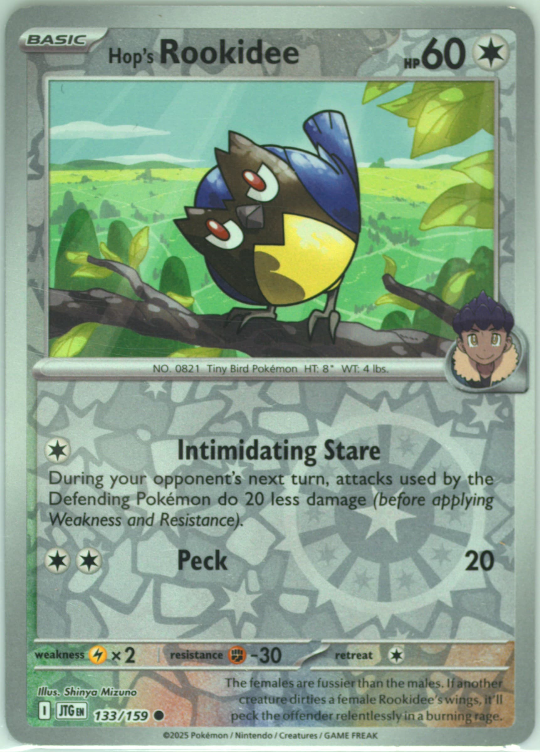 Hop's Rookidee Reverse Holo (133) 2025 Pokemon Jtg EN-Journey Together