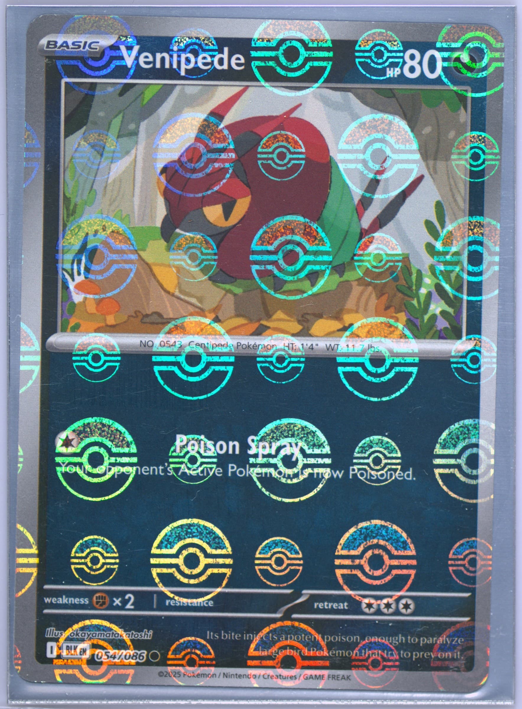 Venipede Poke Ball Reverse Holo (054) 2025 Pokemon Blk EN-Black Bolt