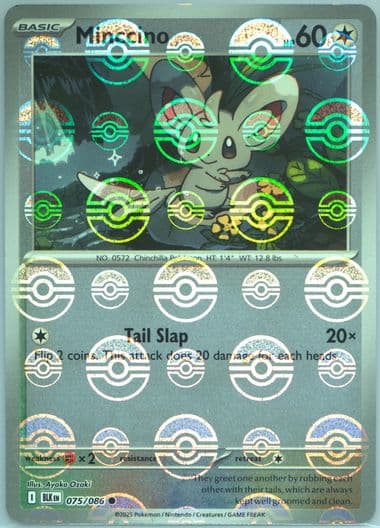 Minccino Poke Ball Reverse Holo (075) 2025 Pokemon Blk EN-Black Bolt