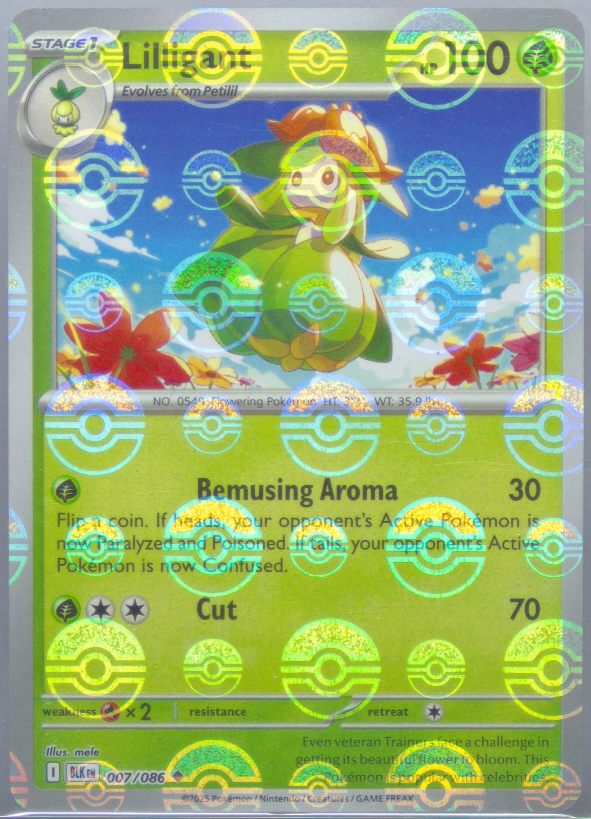 Lilligant Poke Ball Reverse Holo (007) 2025 Pokemon Blk EN-Black Bolt