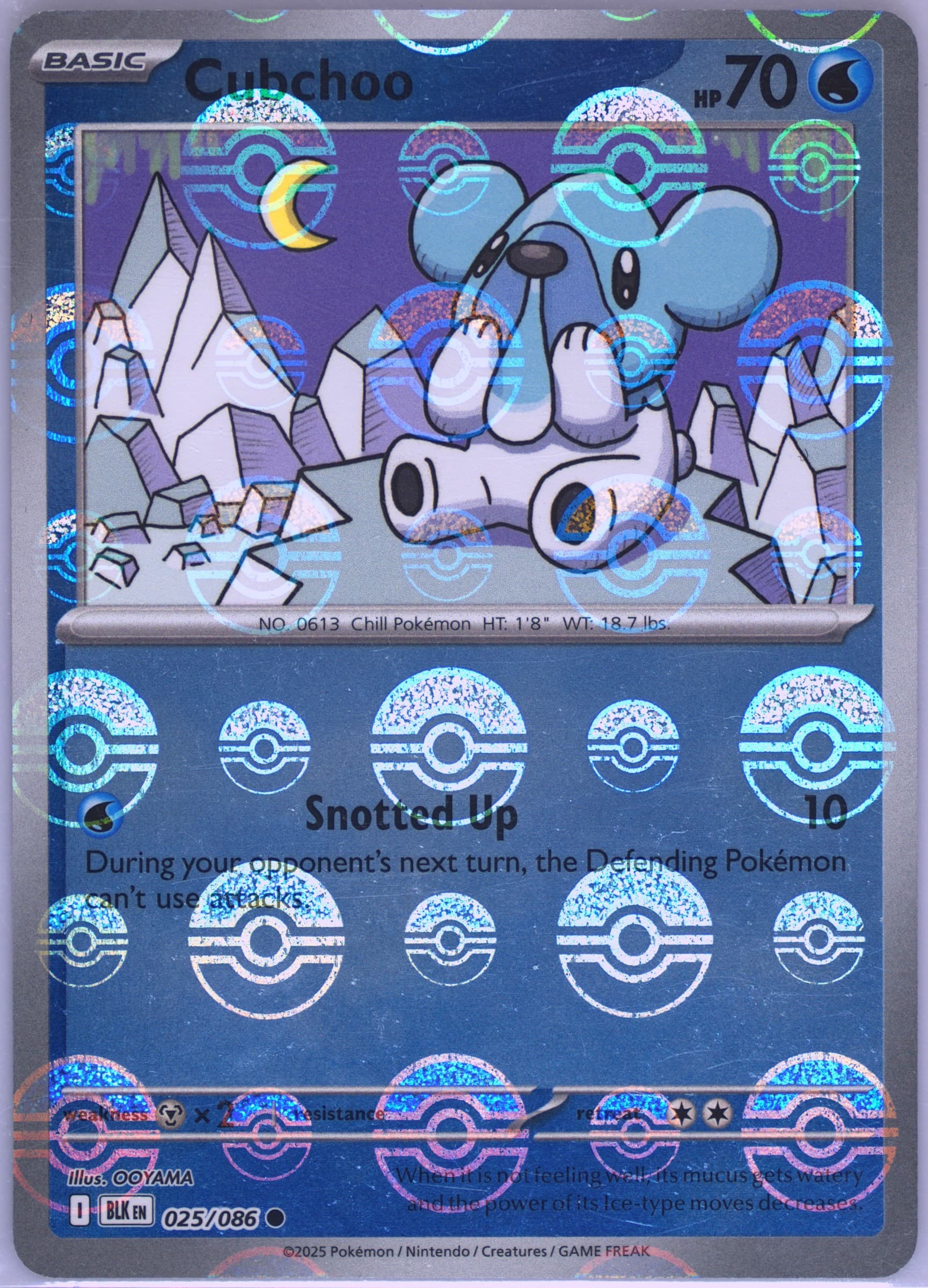 Cubchoo Poke Ball Reverse Holo (025) 2025 Pokemon Blk EN-Black Bolt