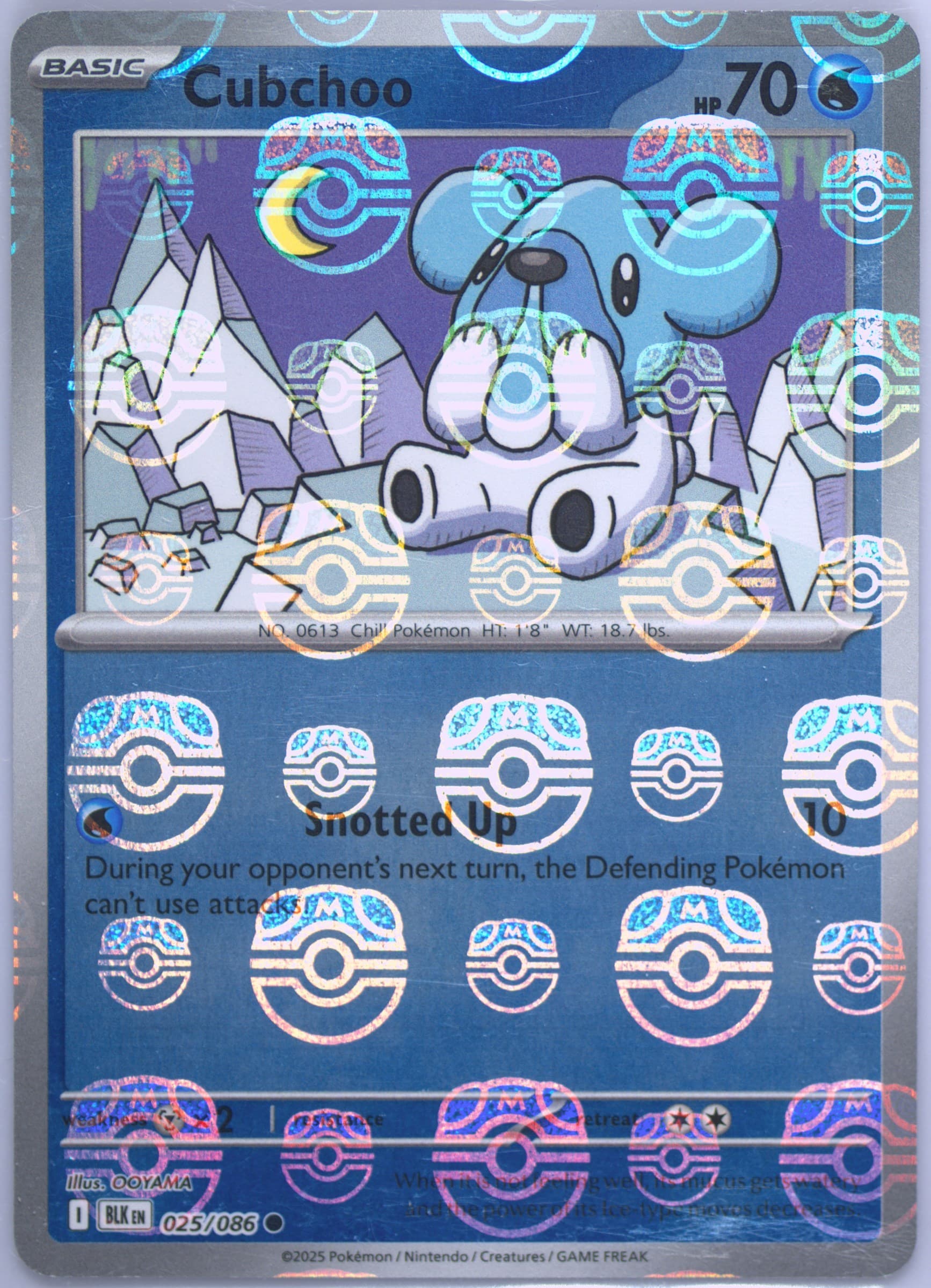 Cubchoo Master Ball Reverse Holo (025) 2025 Pokemon Blk EN-Black Bolt