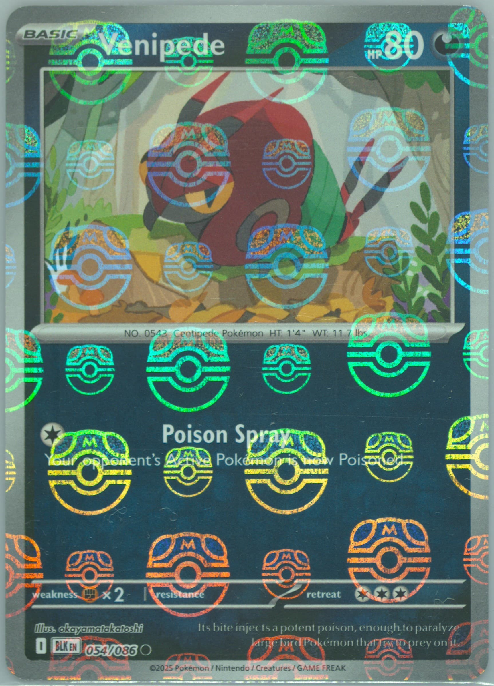 Venipede Master Ball Reverse Holo (054) 2025 Pokemon Blk EN-Black Bolt