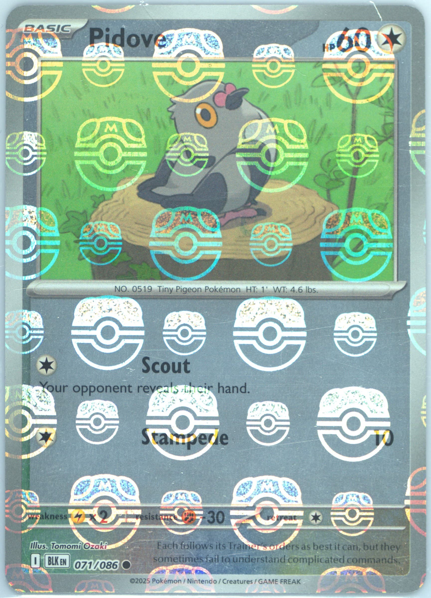 Pidove Master Ball Reverse Holo (071) 2025 Pokemon Blk EN-Black Bolt