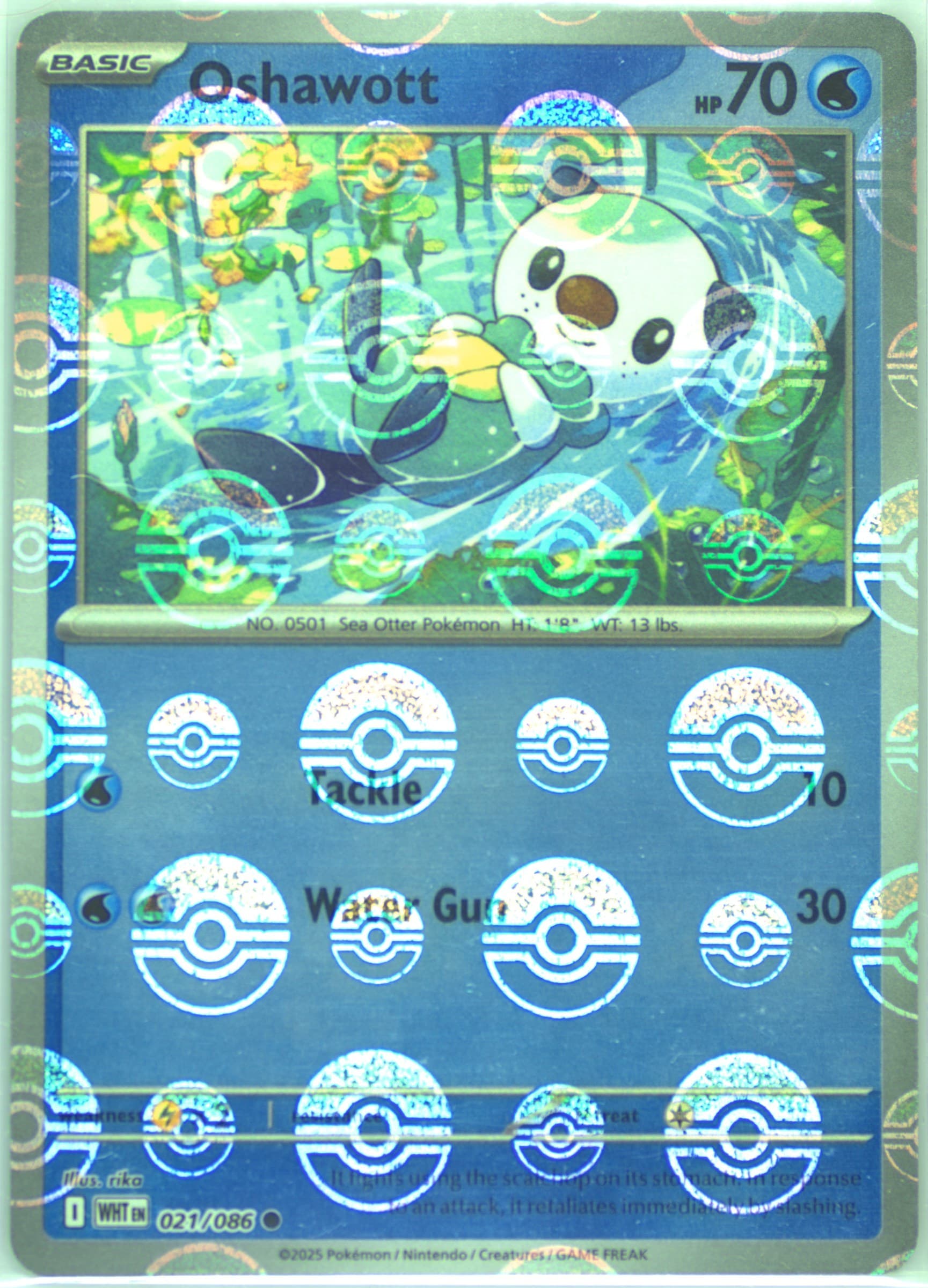 Oshawott Poke Ball Reverse Holo (021) 2025 Pokemon Wht EN-White Flare