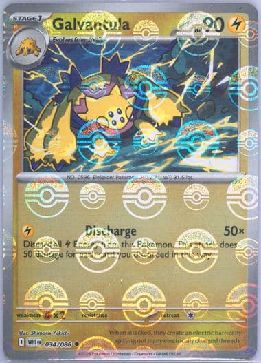Galvantula Poke Ball Reverse Holo (034) 2025 Pokemon Wht EN-White Flare