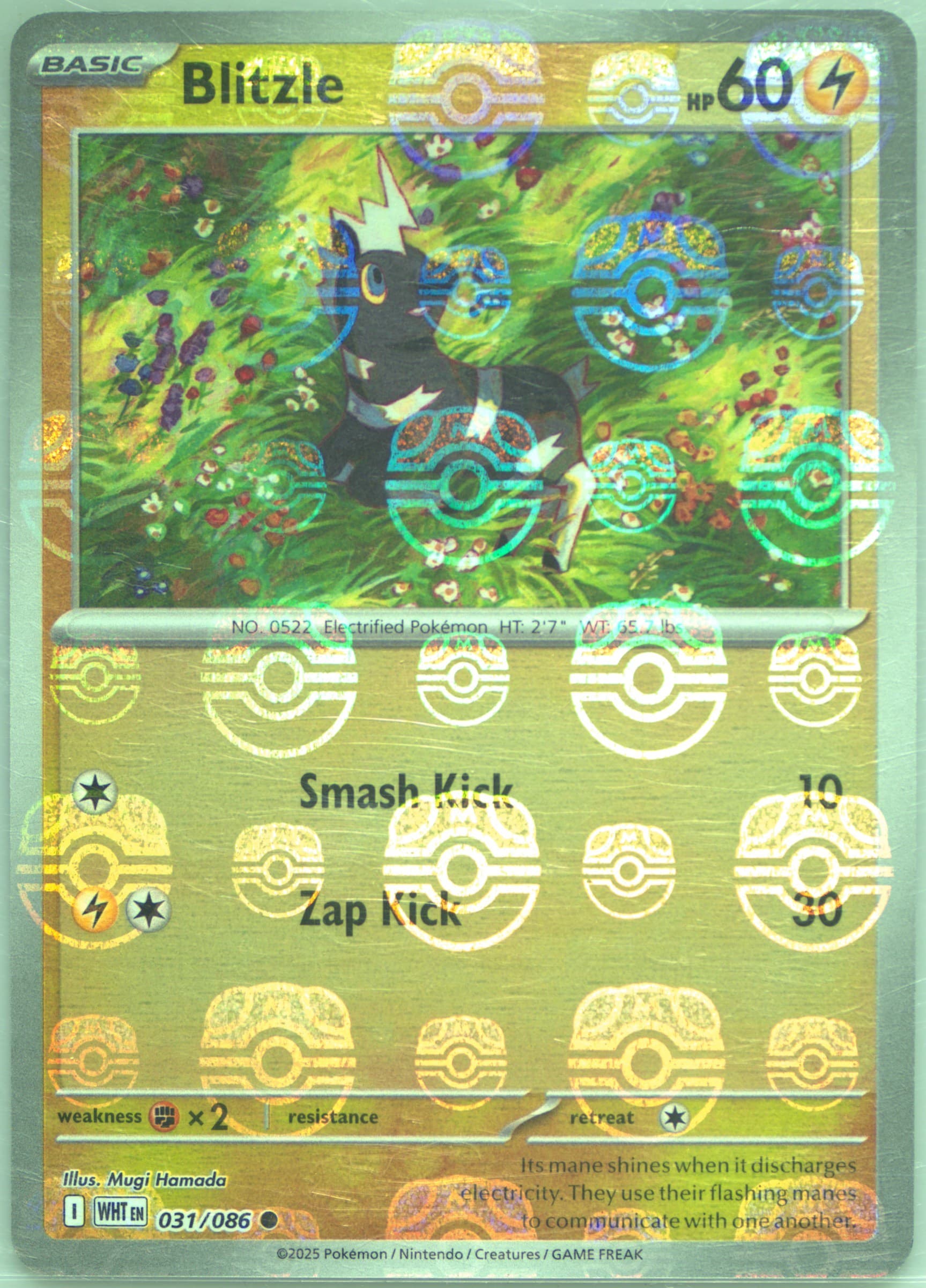 Blitzle Master Ball Reverse Holo (031) 2025 Pokemon Wht EN-White Flare