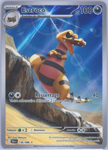 Krokorok Illustration Rare (136) 2025 Pokemon French Blk FR-Black Bolt