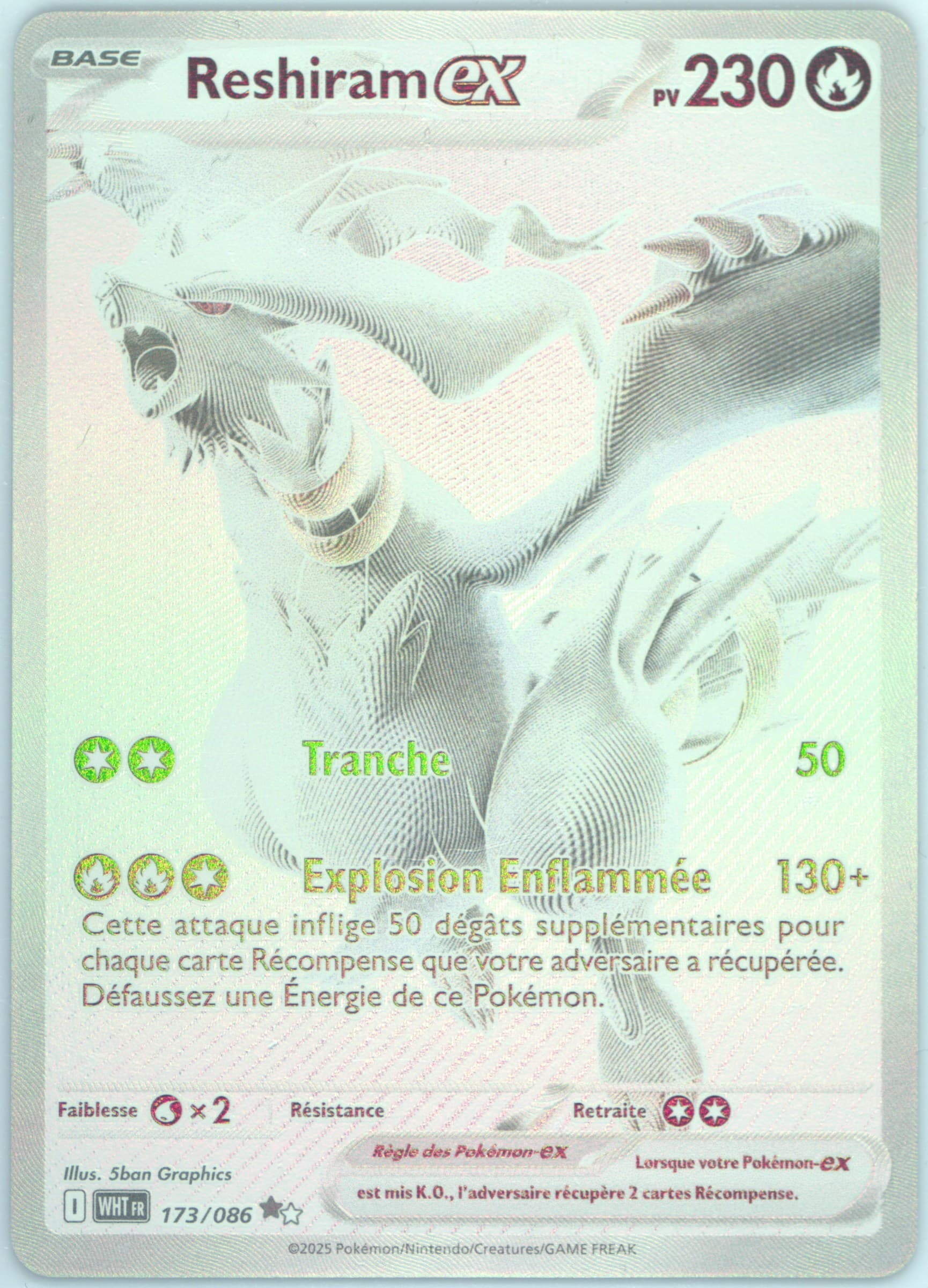 Reshiram EX Black White Rare (173) 2025 Pokemon French Wht FR-White Flare
