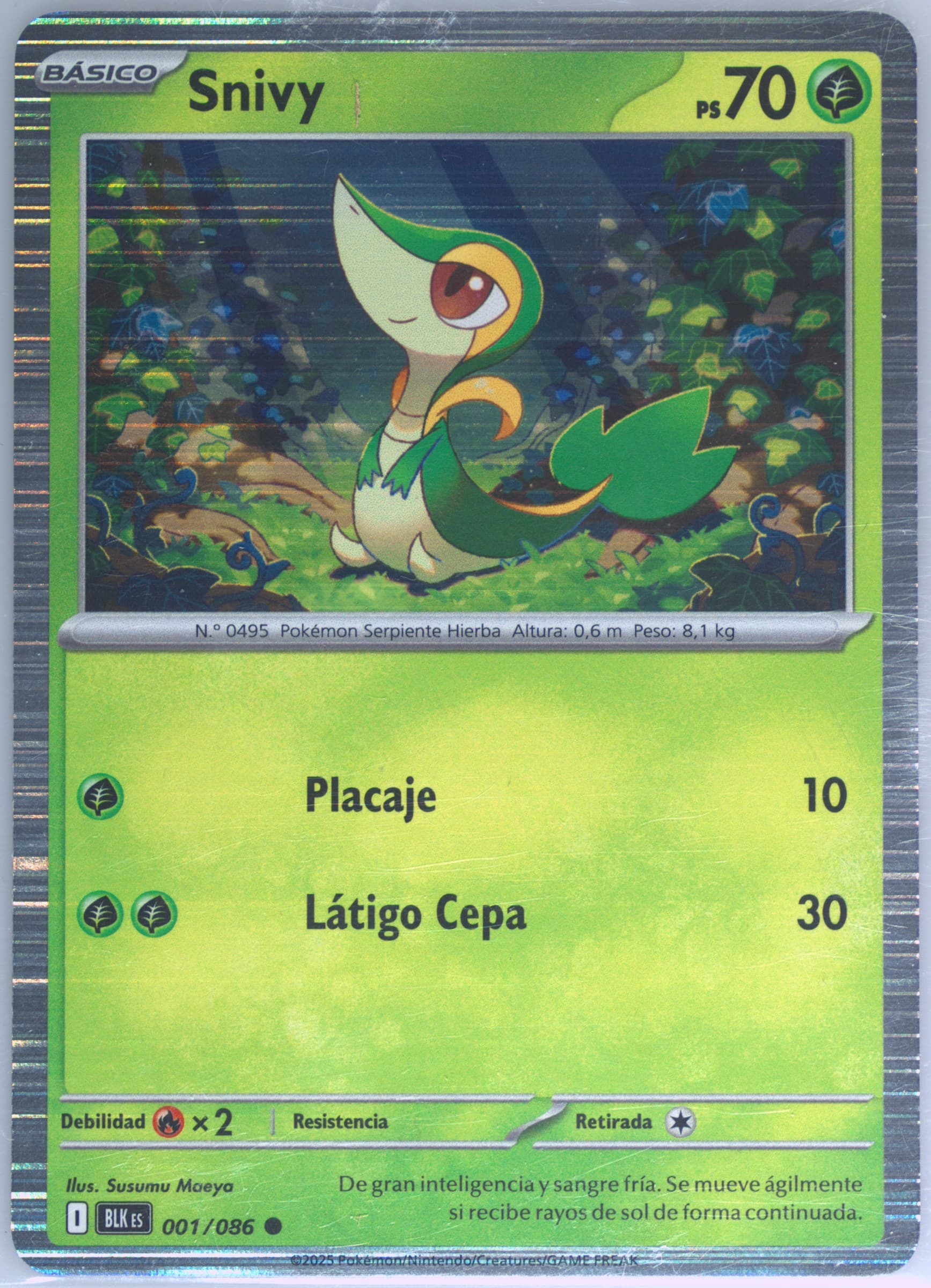 Snivy Unova Poster Collection (001) 2025 Pokemon Spanish Blk ES-Black Bolt