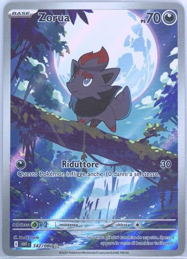 Zorua Illustration Rare (142) 2025 Pokemon Italian Wht It-White Flare
