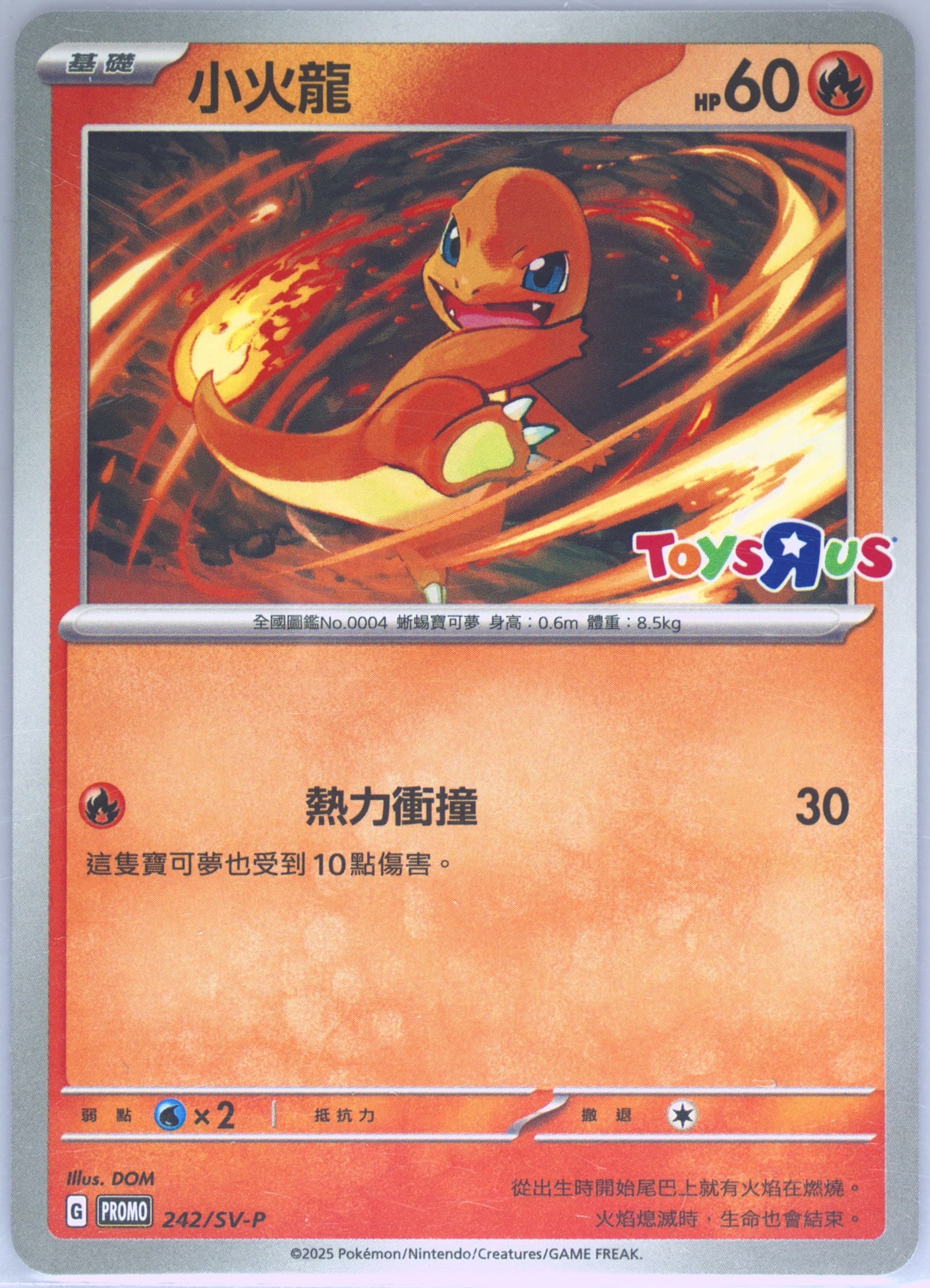 Charmander Toys R US Event Bonus Card (242) 2025 Pokemon Traditional Chinese SV-P Promo