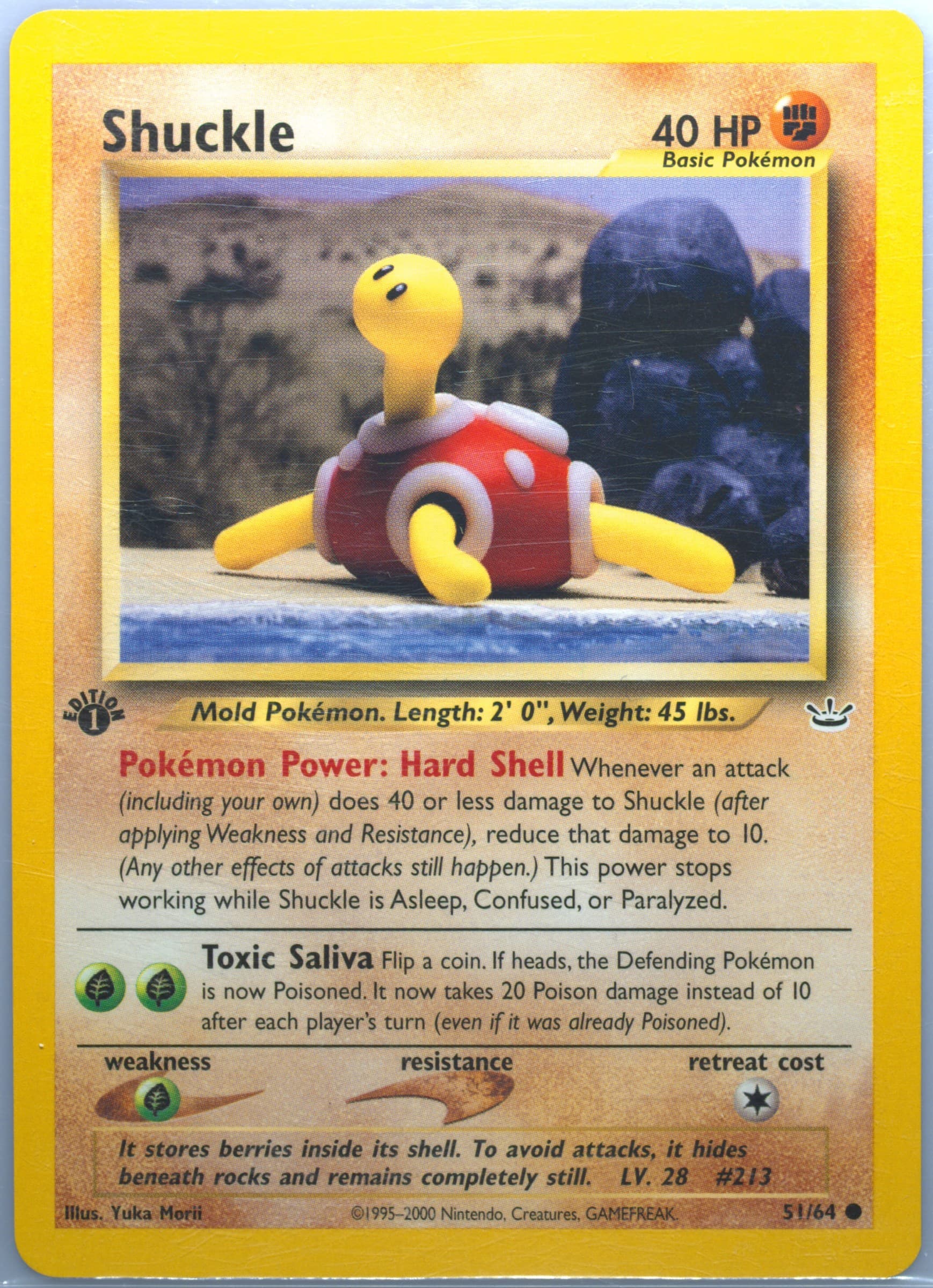 Shuckle 1st Edition (51) 2001 Pokemon Neo Revelation