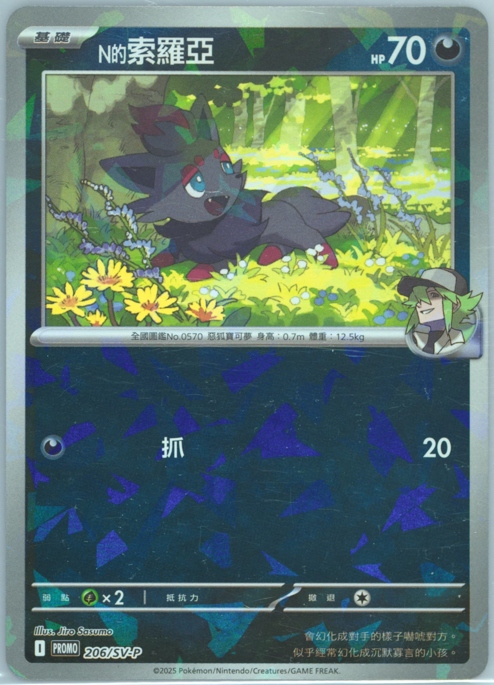 N's Zorua Collection File Set N (206) 2025 Pokemon Traditional Chinese SV-P Promo