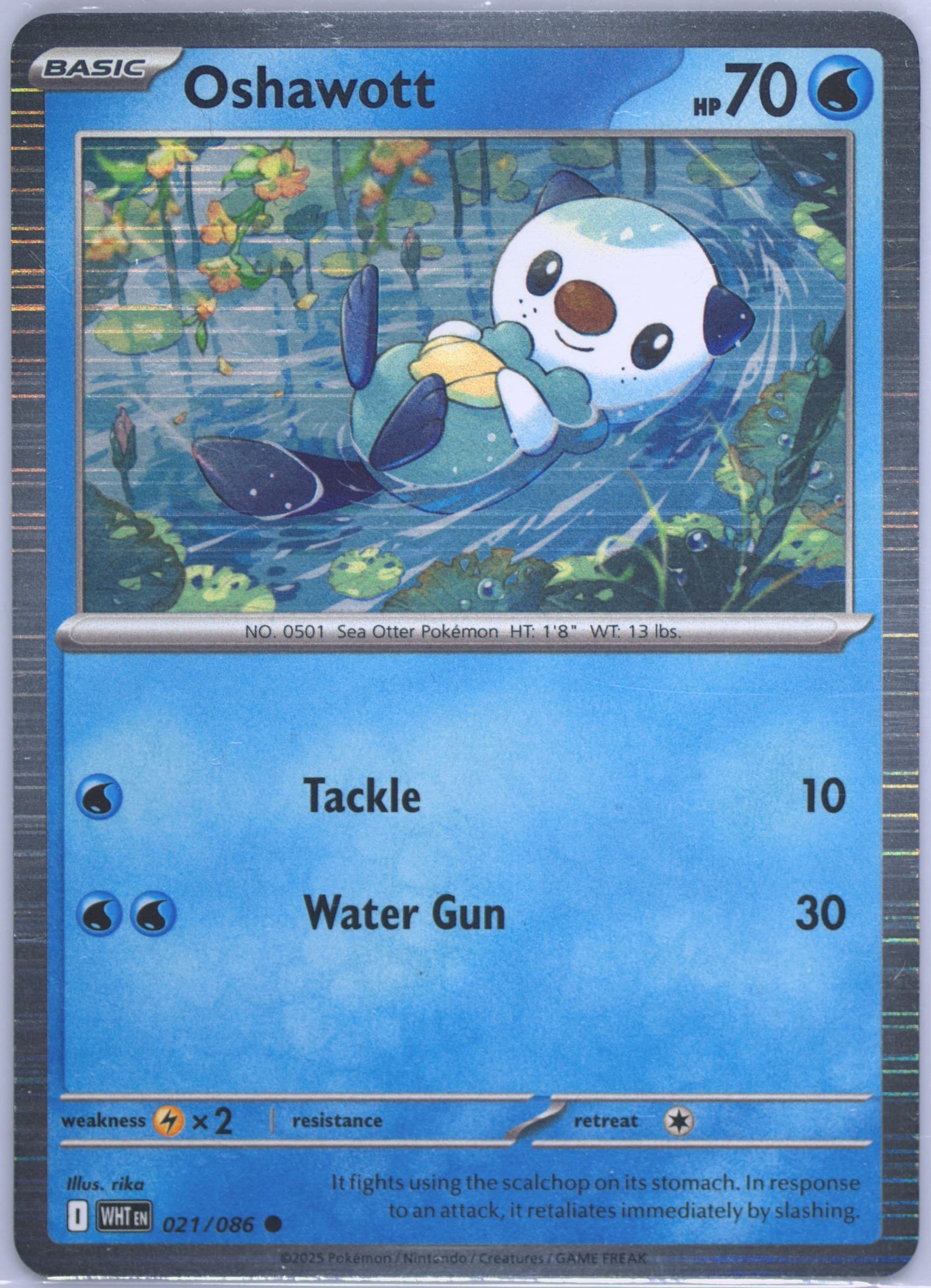 Oshawott Unova Poster Collection (021) 2025 Pokemon Wht EN-White Flare