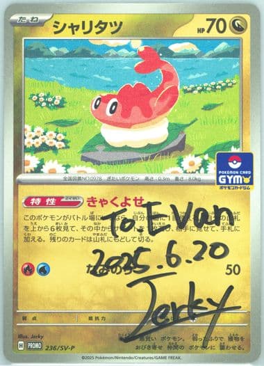 Tatsugiri Gym Promo Pack 9 (236) 2025 Pokemon Japanese SV-P Promo