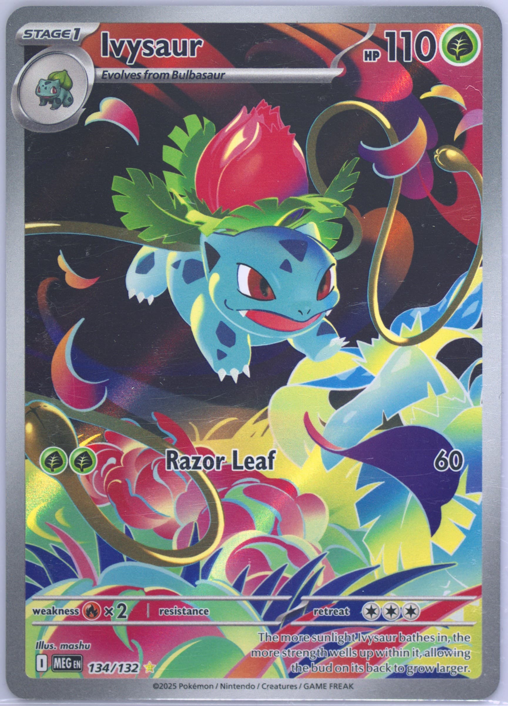 Ivysaur Illustration Rare (134) 2025 Pokemon Meg EN-Mega Evolution