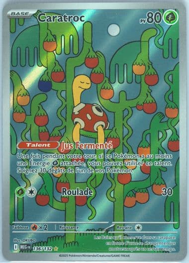 Shuckle Illustration Rare (136) 2025 Pokemon French Meg FR-Mega Evolution