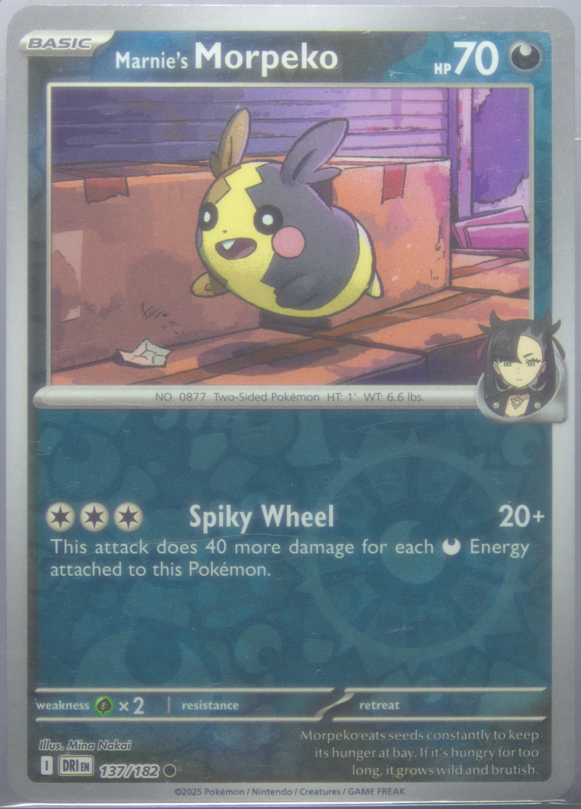Marnie's Morpeko Reverse Holo (137) 2025 Pokemon Dri EN-Destined Rivals