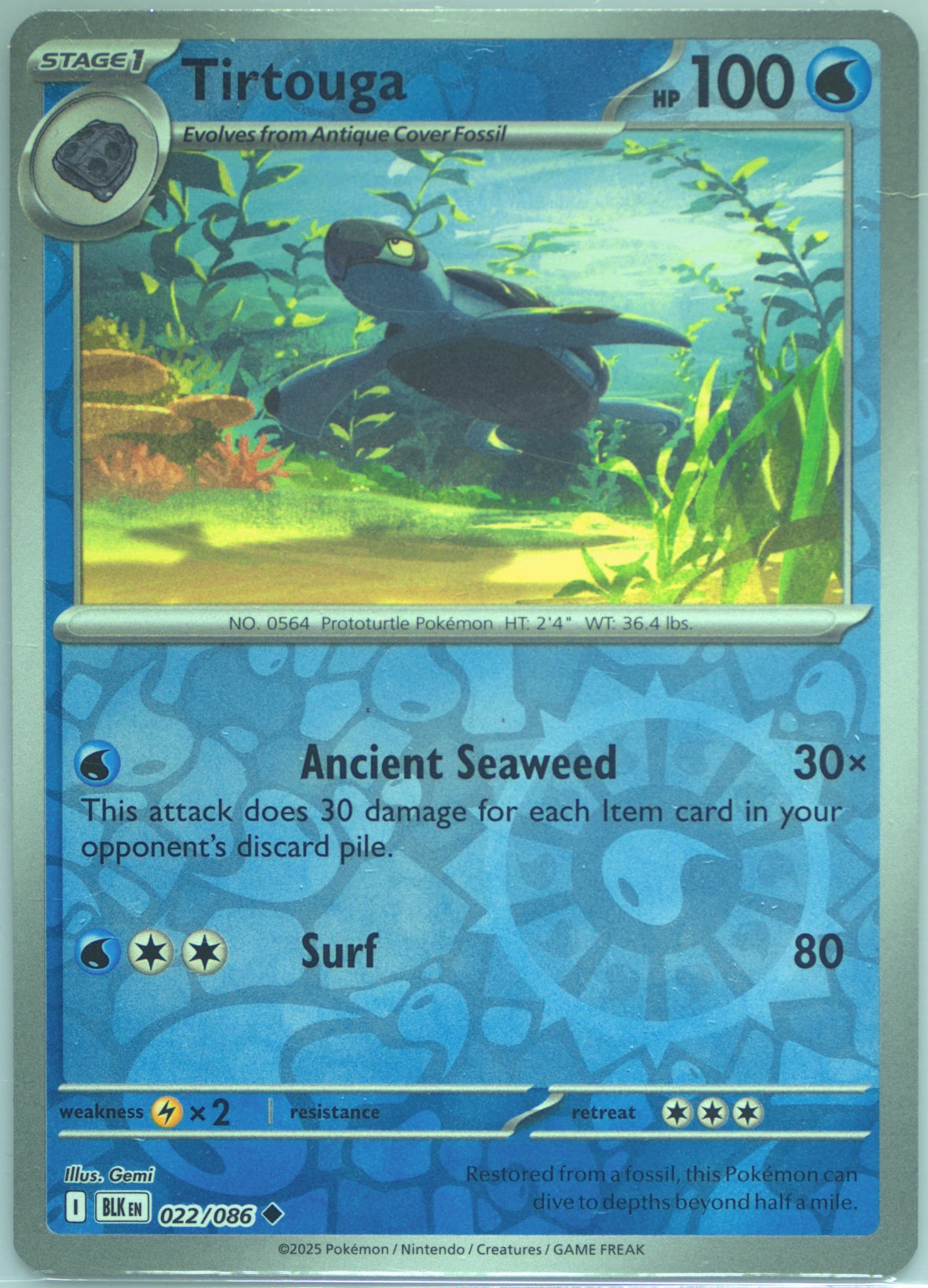 Tirtouga Reverse Holo (022) 2025 Pokemon Blk EN-Black Bolt