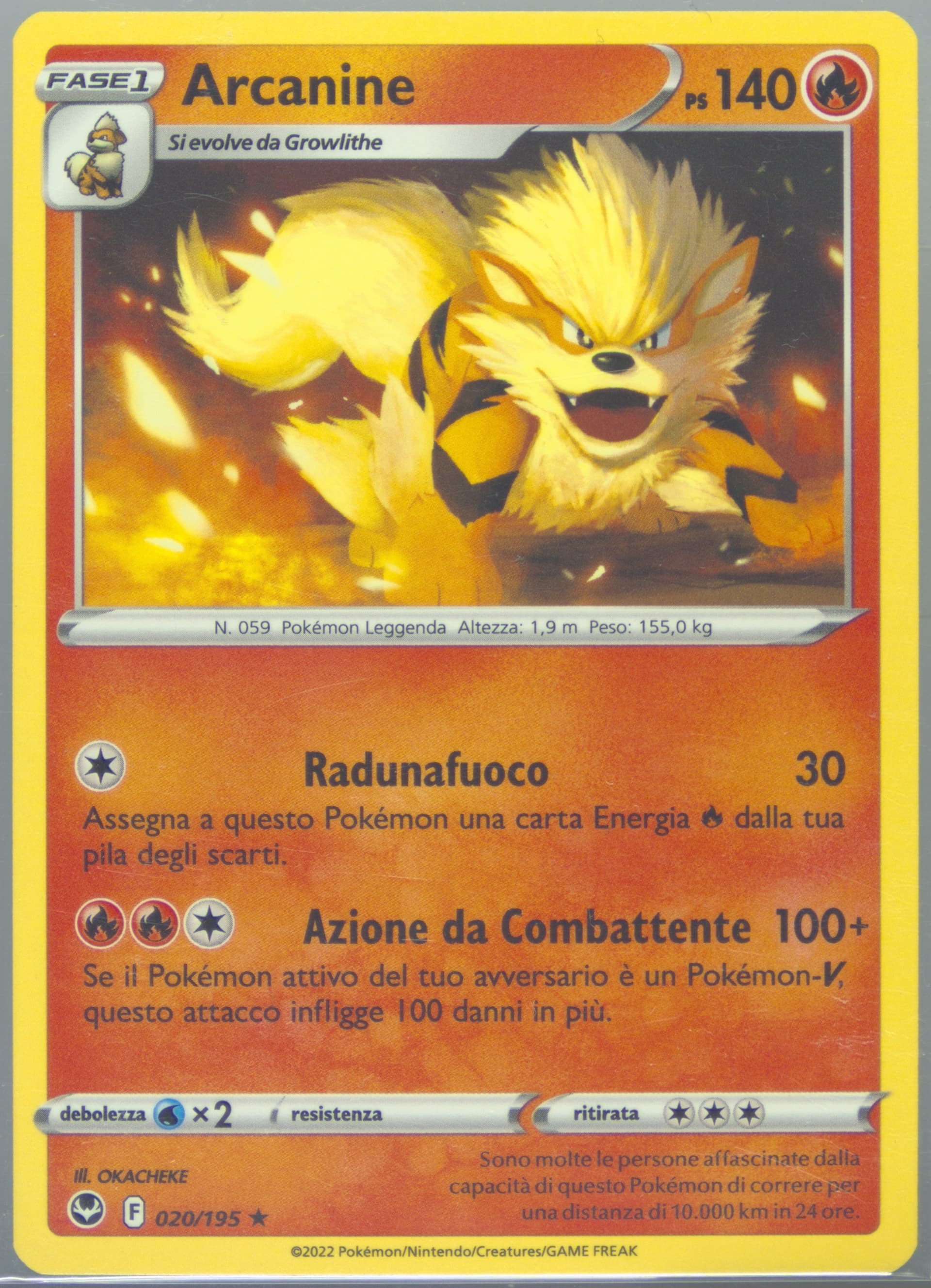 Arcanine Italian (020) 2022 Pokemon Sword & Shield Silver Tempest