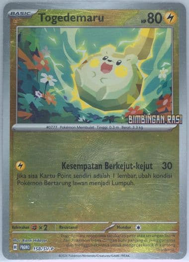 Togedemaru Stellar Guidance Special Set (158) 2024 Pokemon Indonesian SV-P Promo