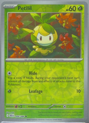 Petilil Reverse Holo (006) 2025 Pokemon Blk EN-Black Bolt