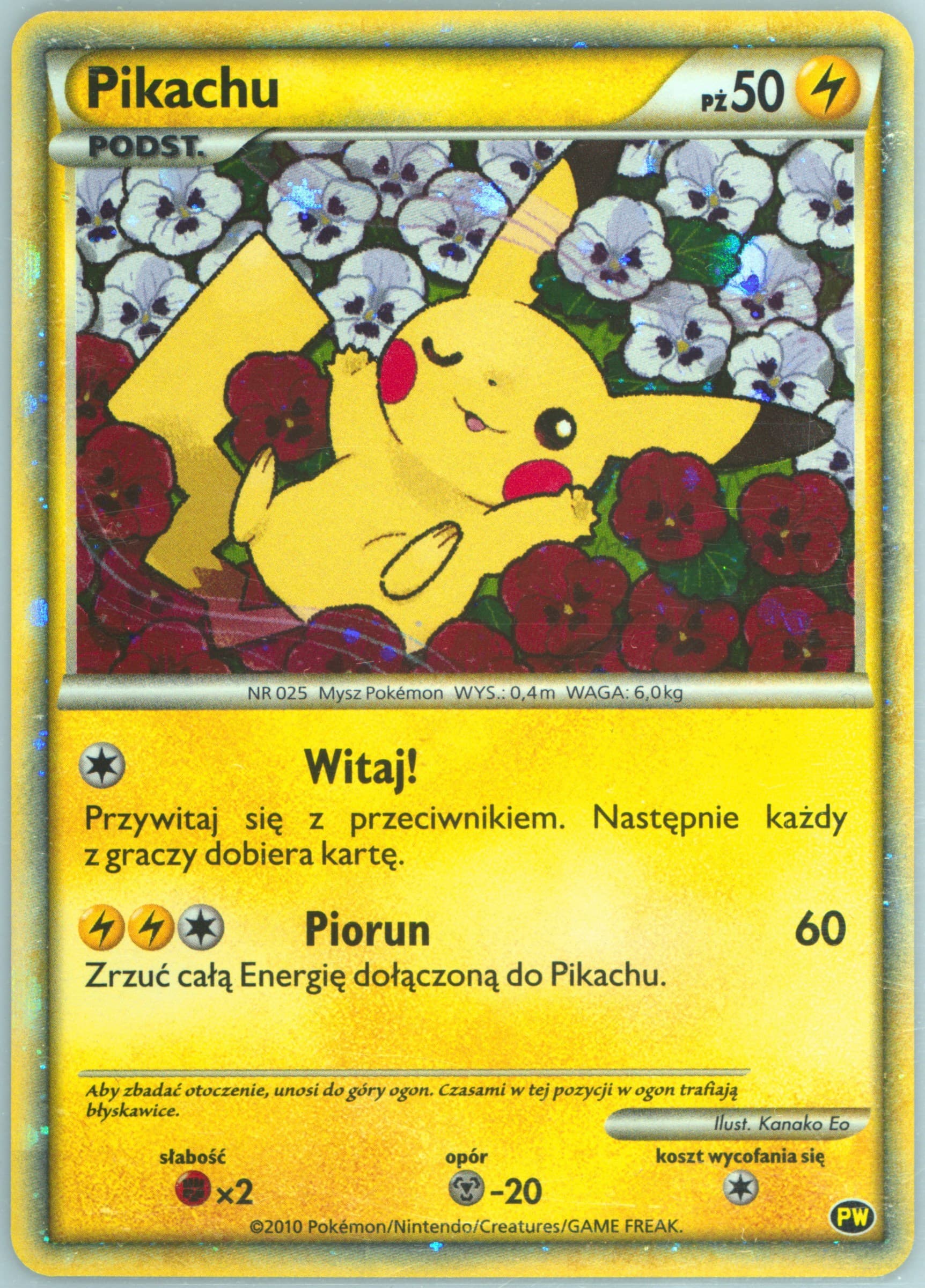 Pikachu-Holo Polish 2010 Pokemon Japanese World Collection