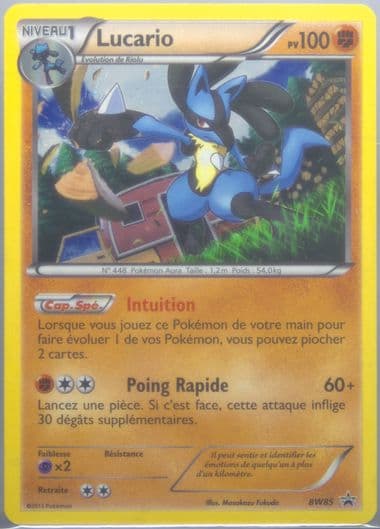 Lucario-Holo French (BW85) 2013 Pokemon Black & White Promo