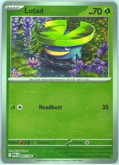 Lotad Reverse Holo (005) 2025 Pokemon Pfl EN-Phantasmal Flames